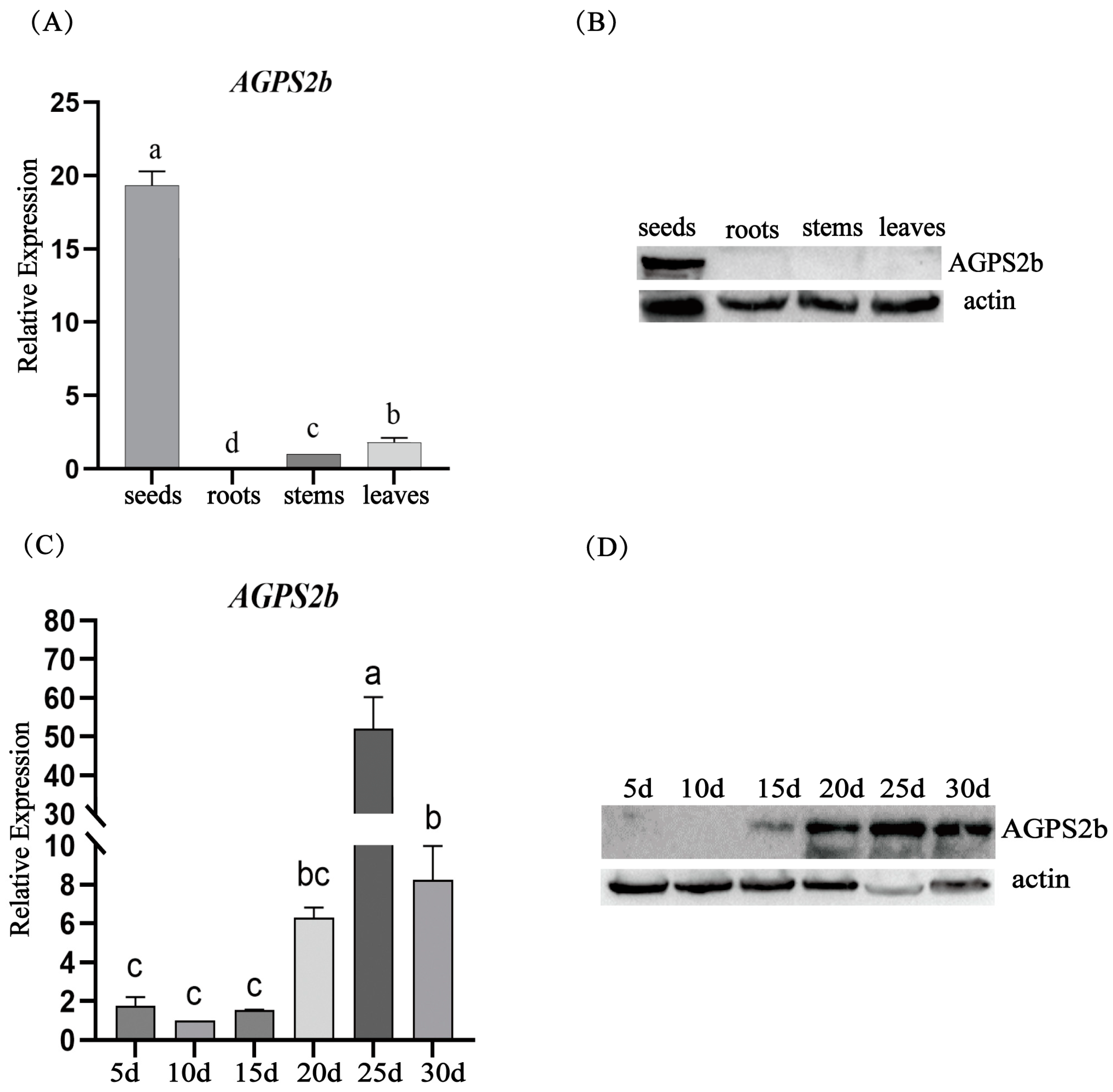 Agriculture 14 01712 g005 Agriculture 14 01712 g005