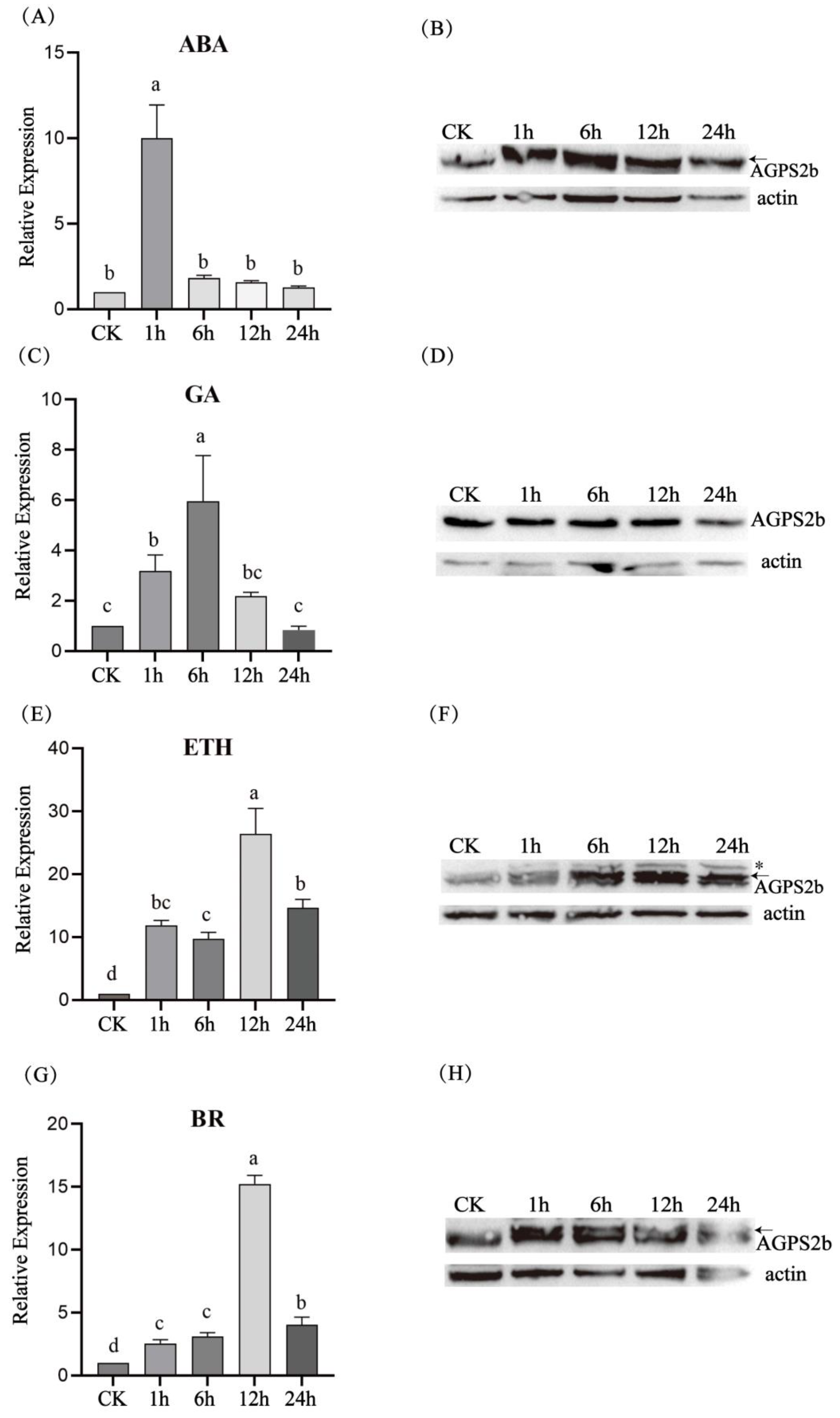 Agriculture 14 01712 g006 Agriculture 14 01712 g006