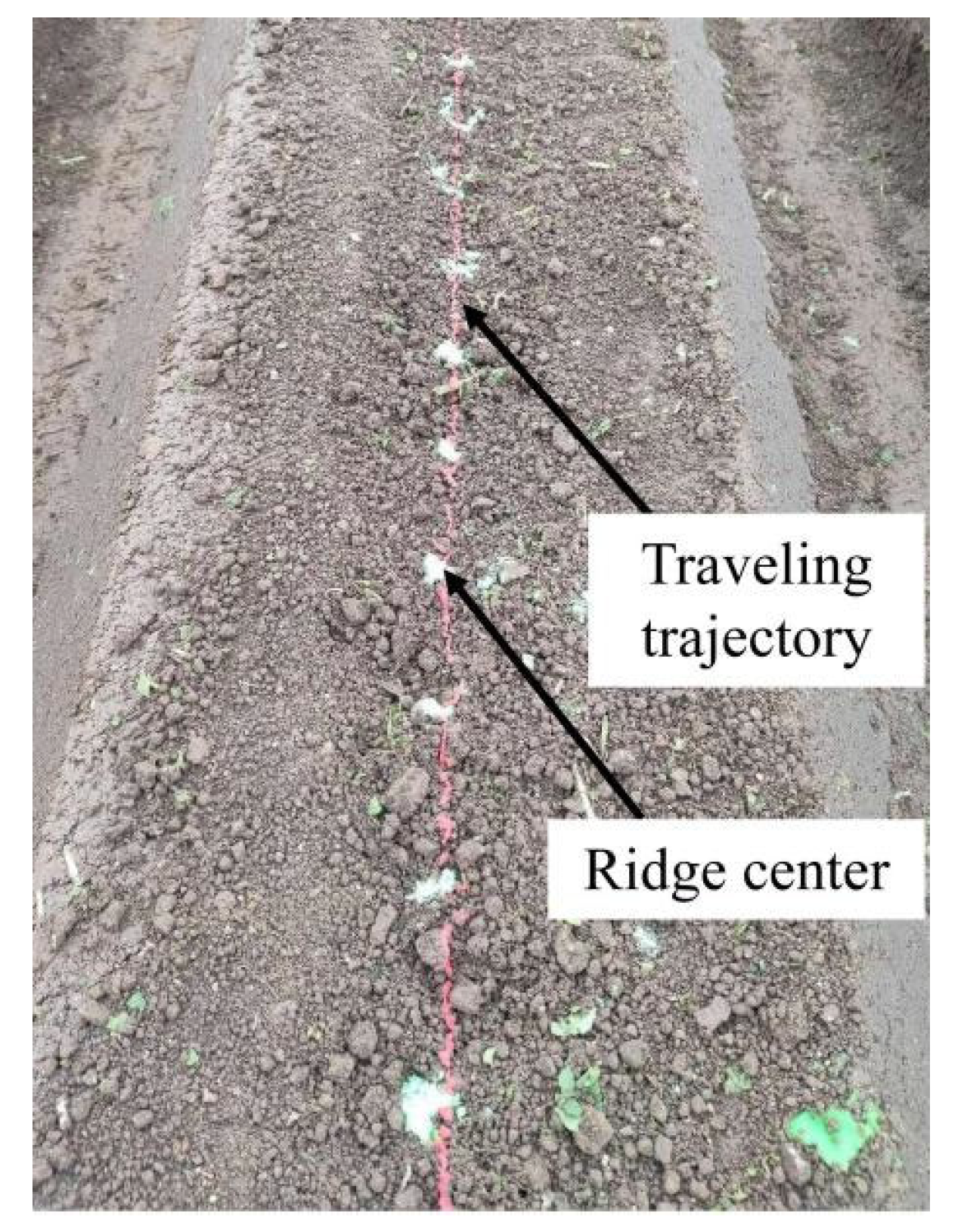 Agriculture 14 01713 g017
