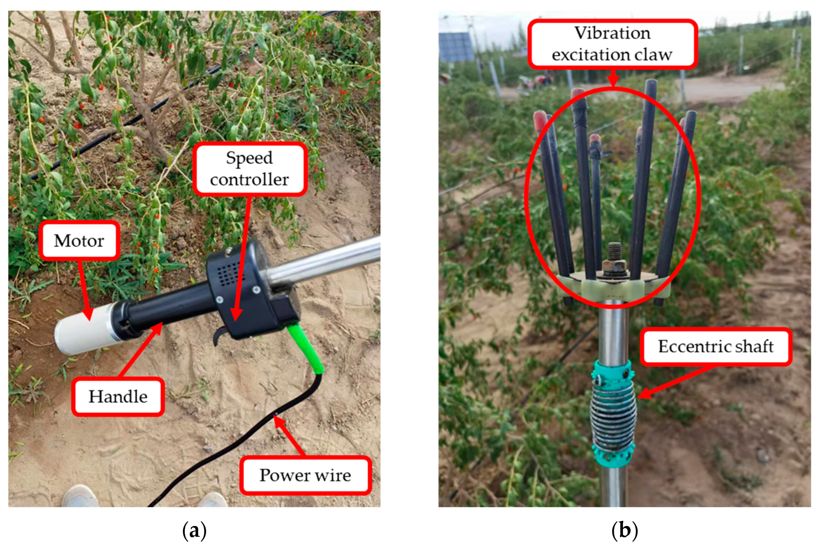 Agriculture 14 01715 g006