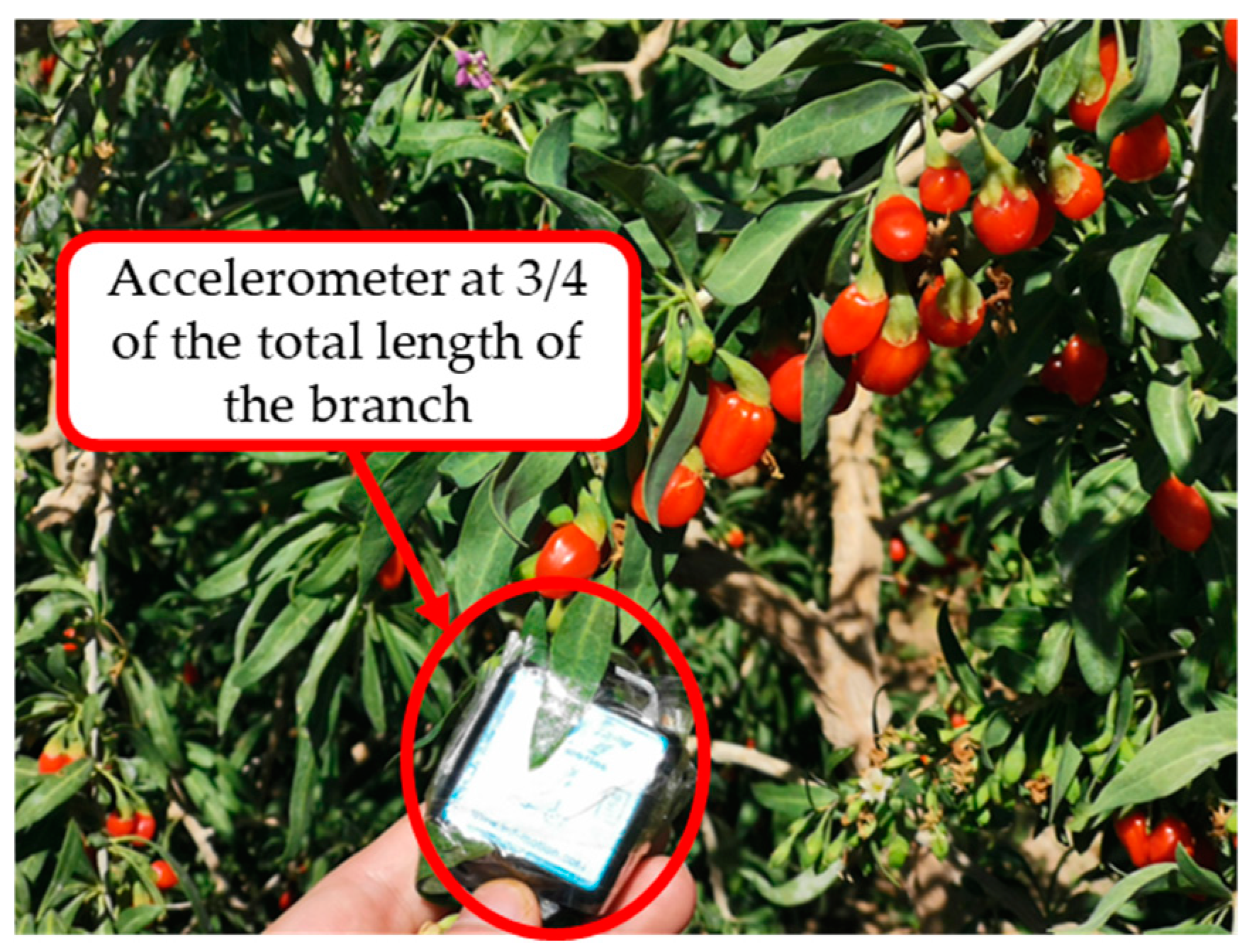 Agriculture 14 01715 g007