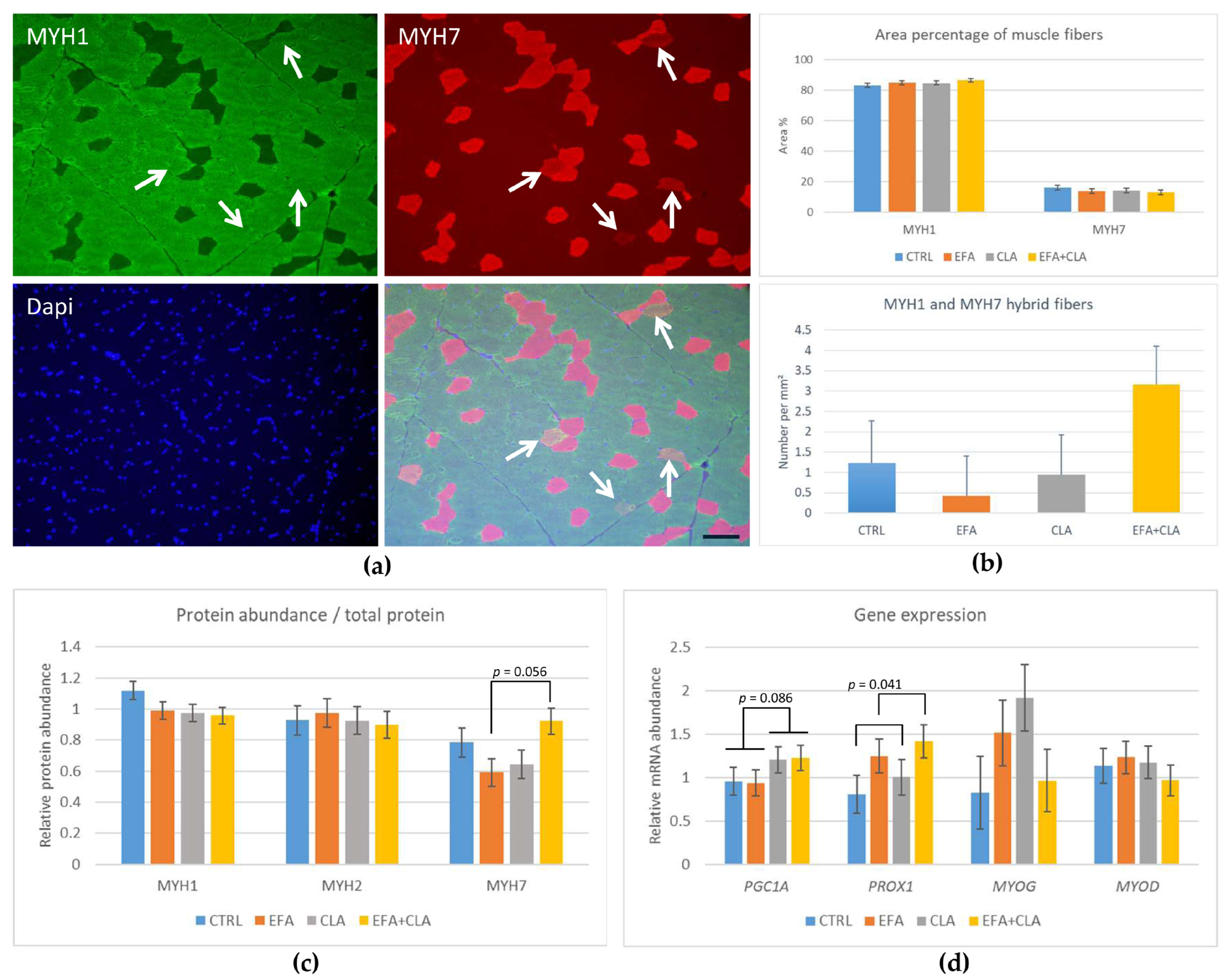 Agriculture 14 01720 g006
