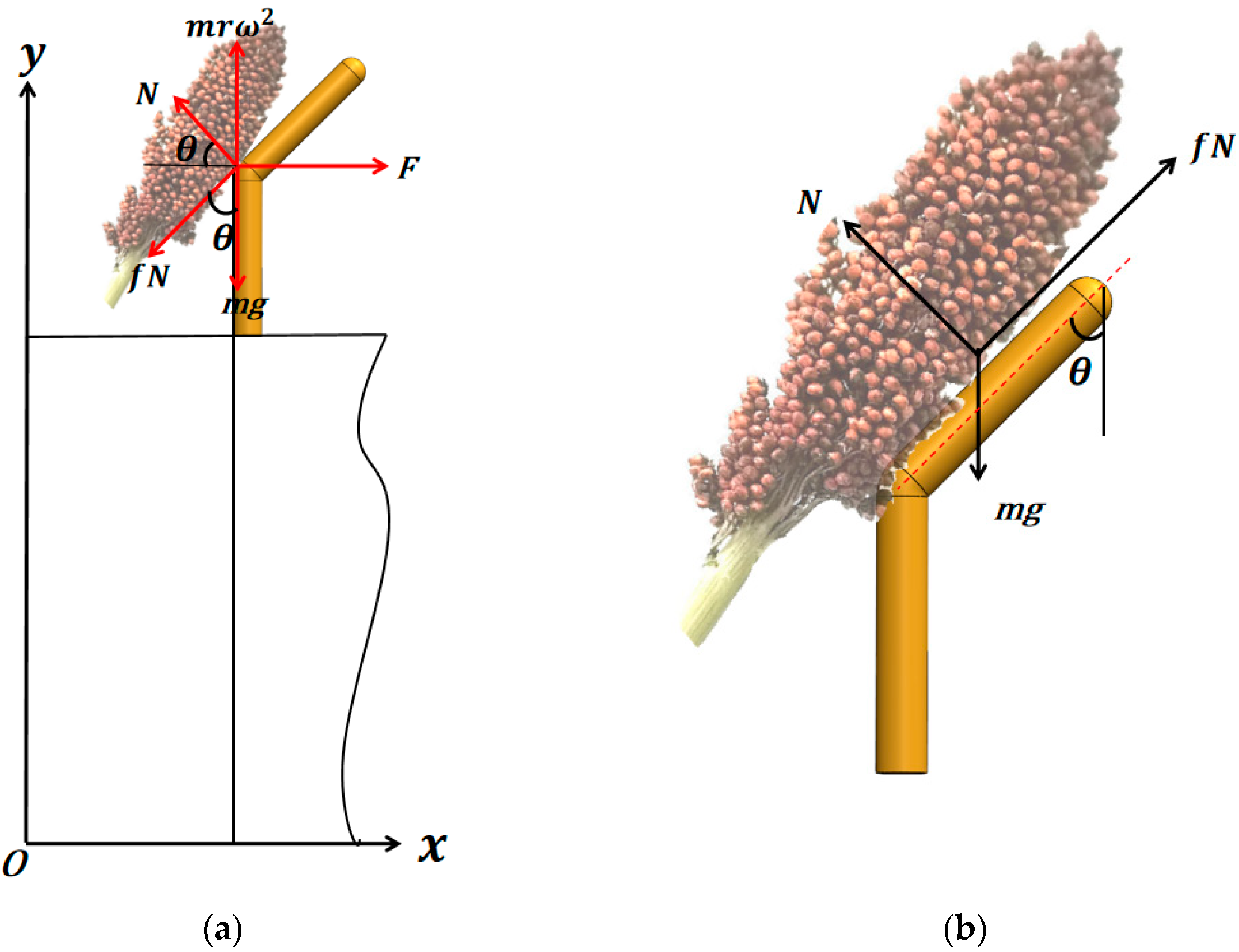 Agriculture 14 01722 g004