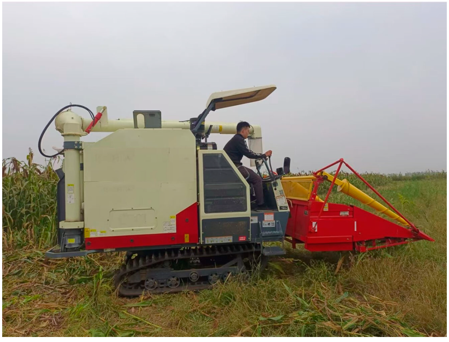 Agriculture 14 01722 g006