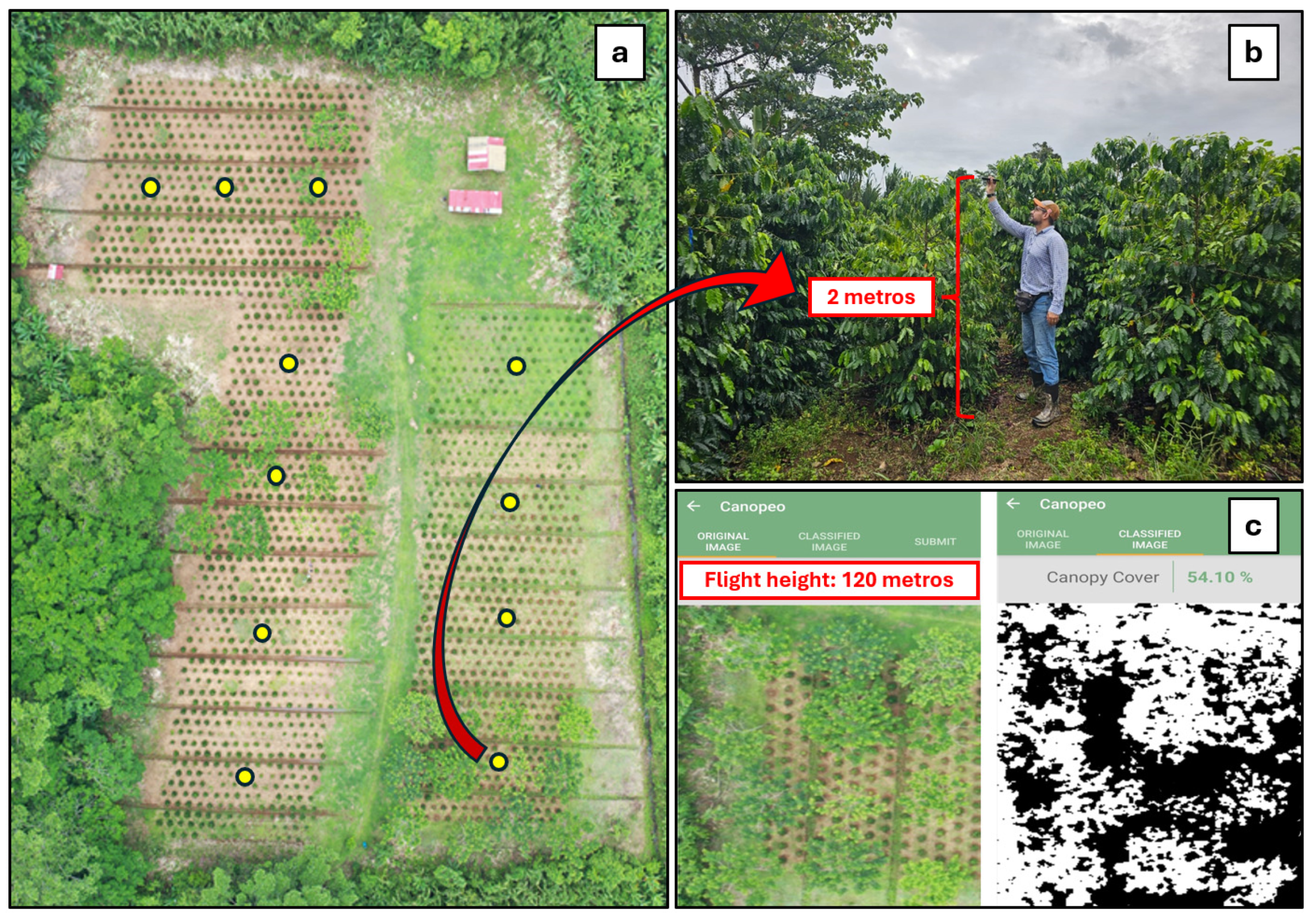 Agriculture 14 01723 g003