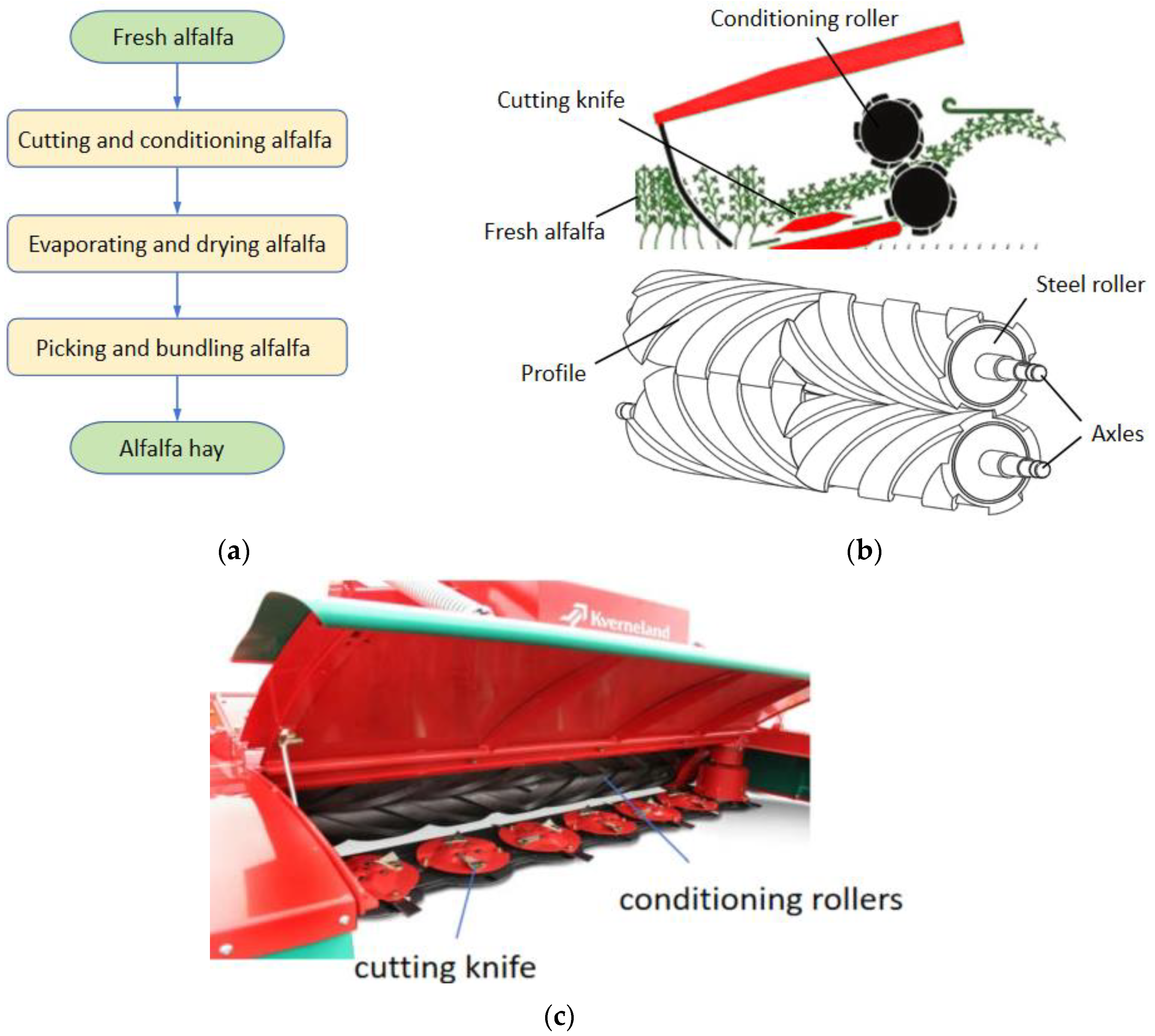 Agriculture 14 01724 g001