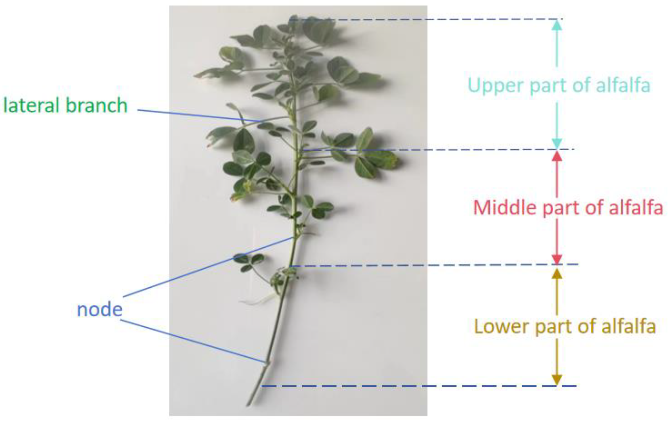 Agriculture 14 01724 g002