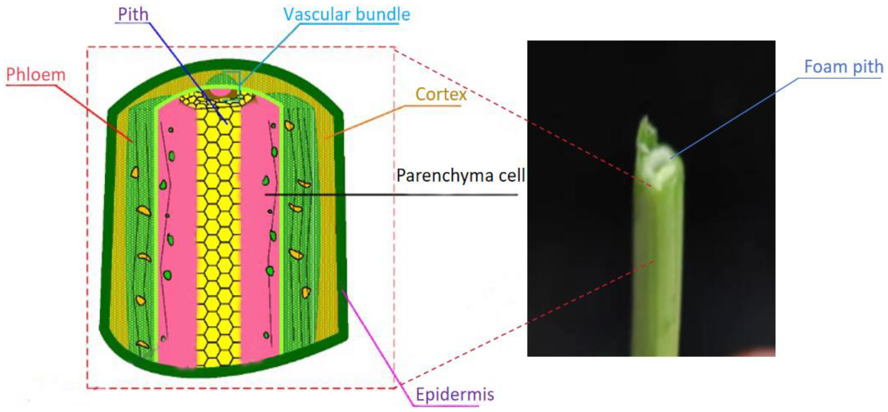 Agriculture 14 01724 g003