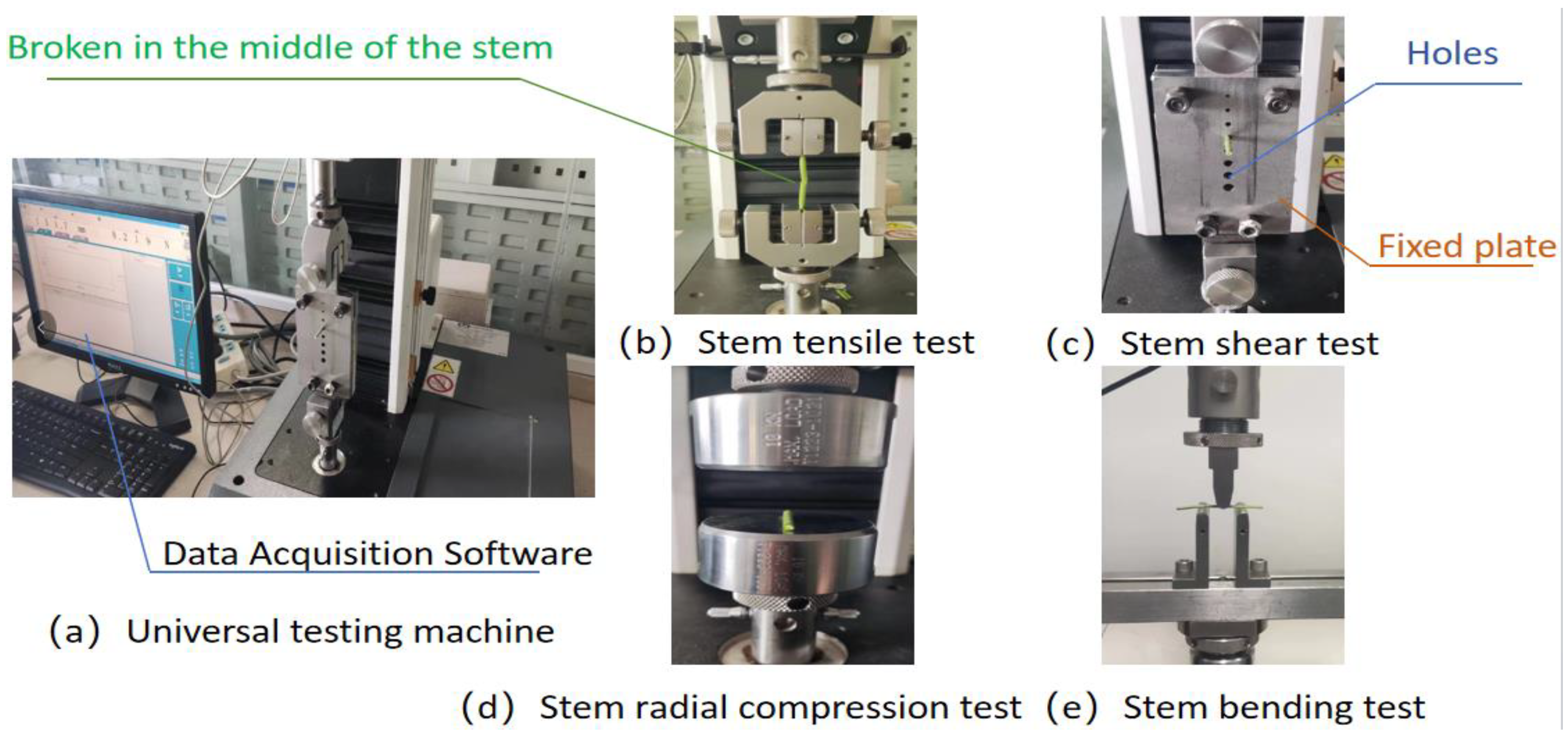 Agriculture 14 01724 g004