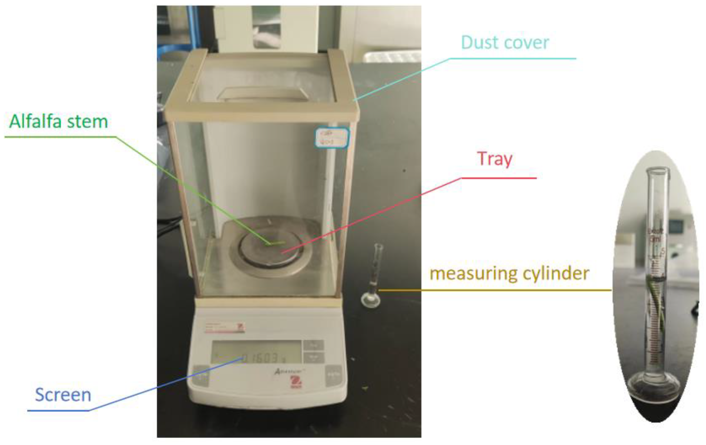 Agriculture 14 01724 g005