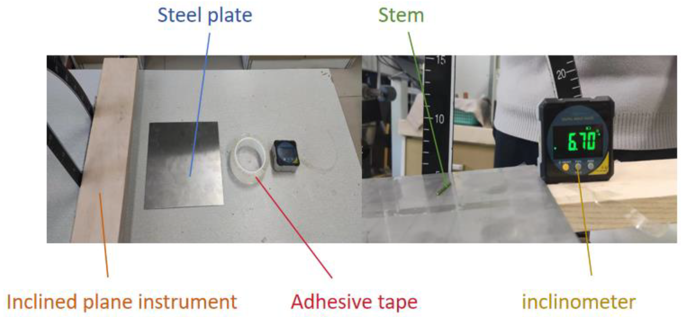 Agriculture 14 01724 g006