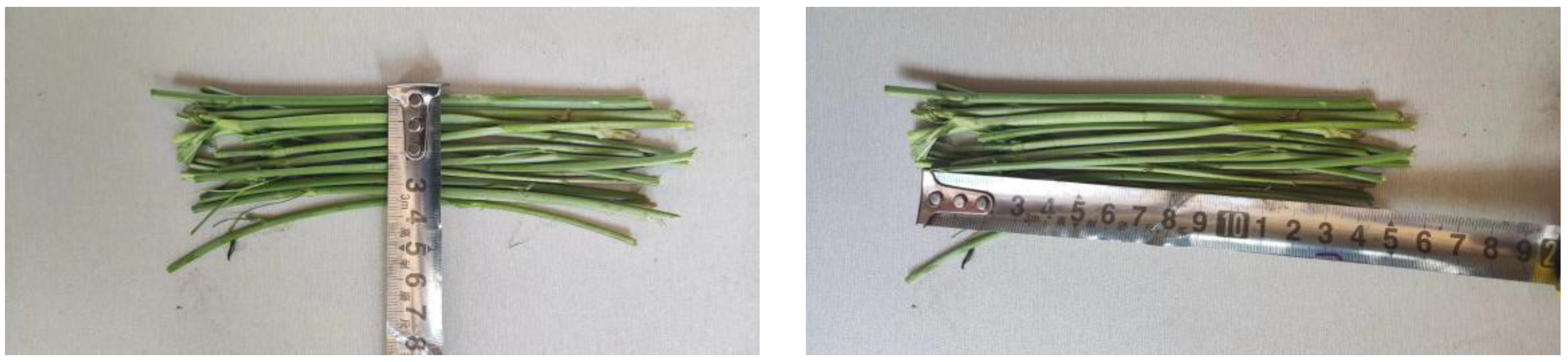 Agriculture 14 01724 g014