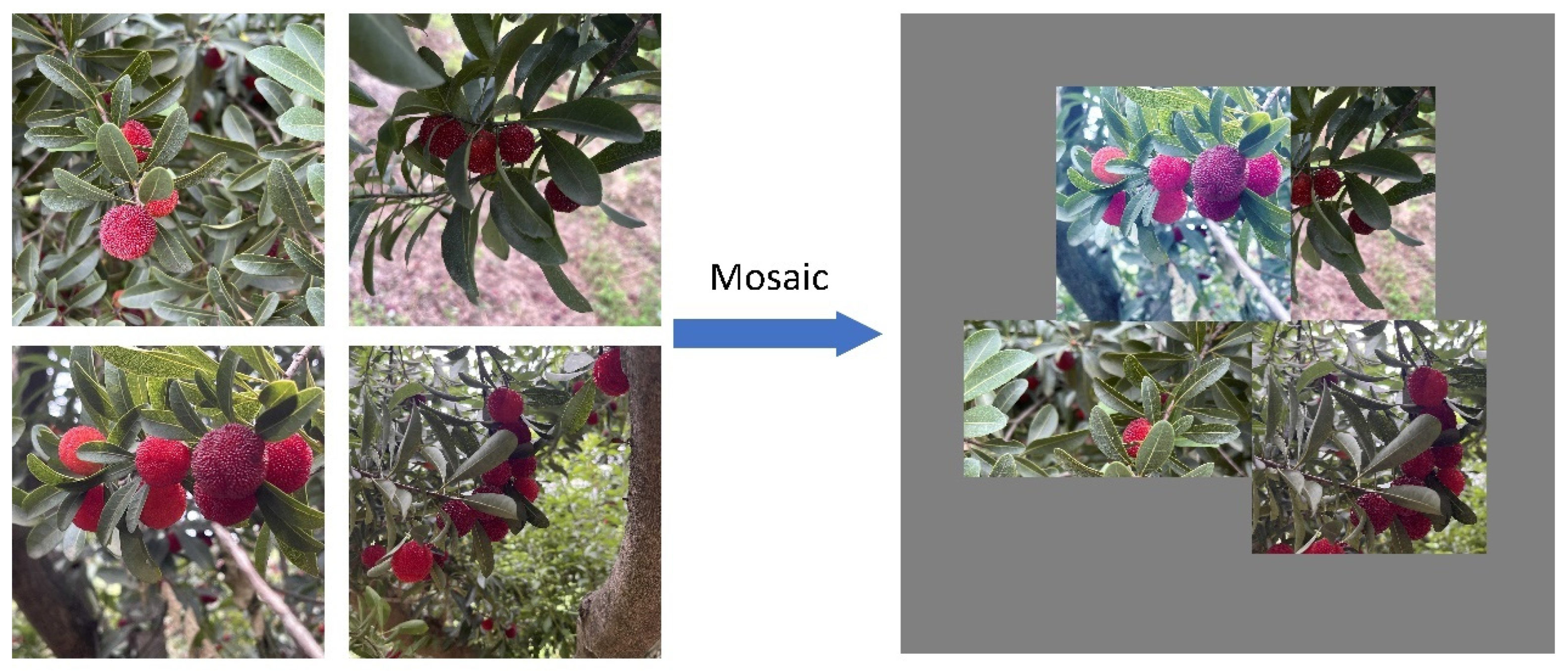 Agriculture 14 01725 g004