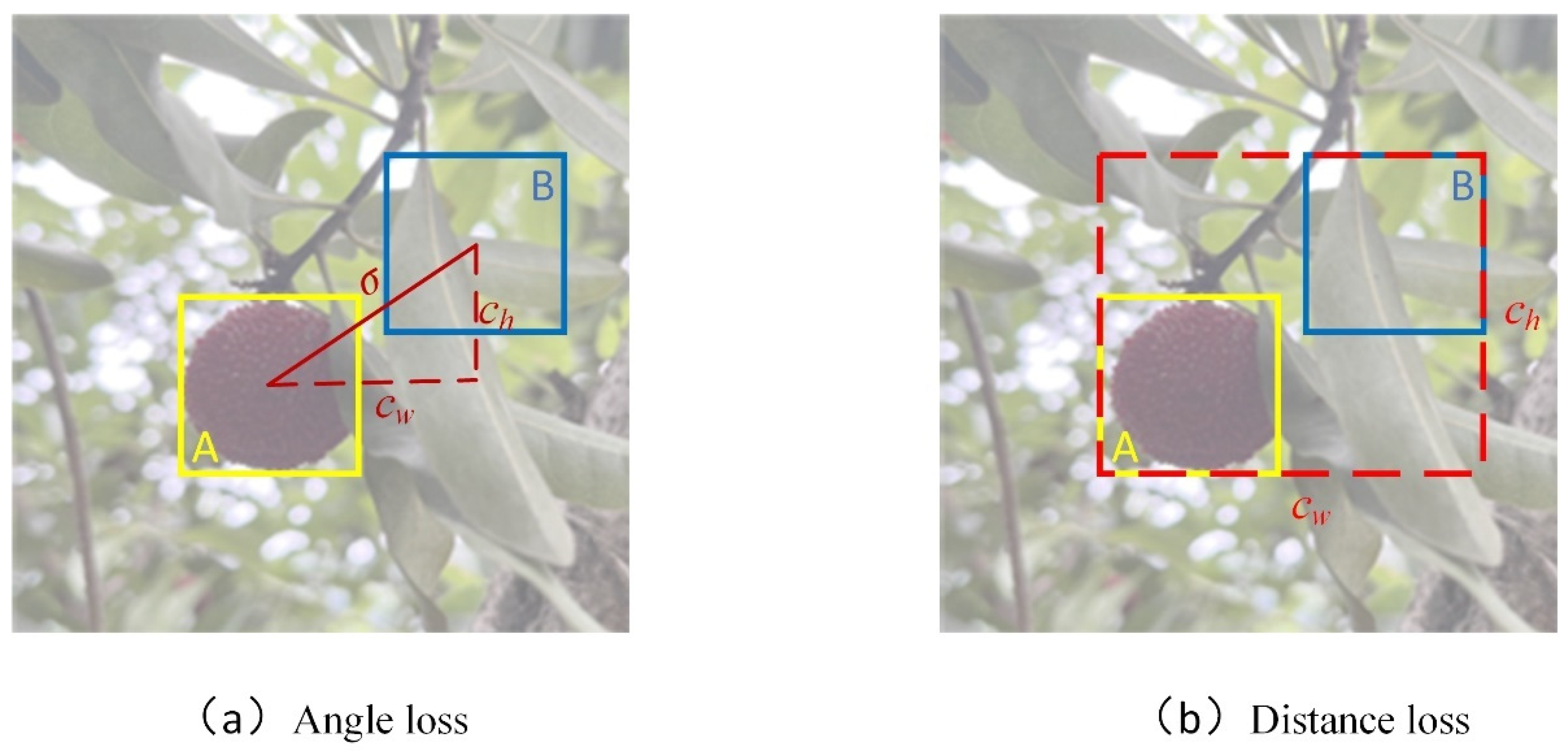 Agriculture 14 01725 g007