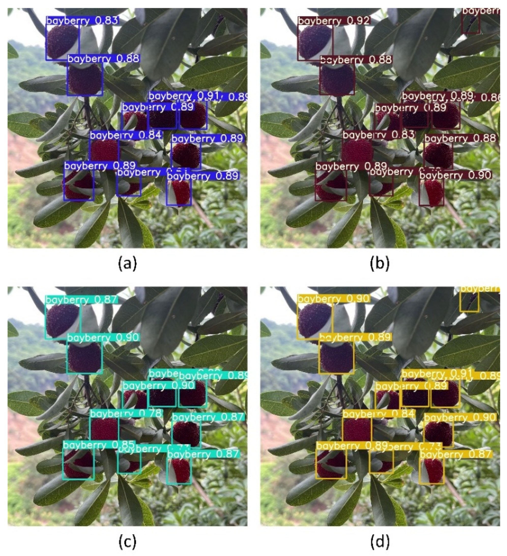 Agriculture 14 01725 g011