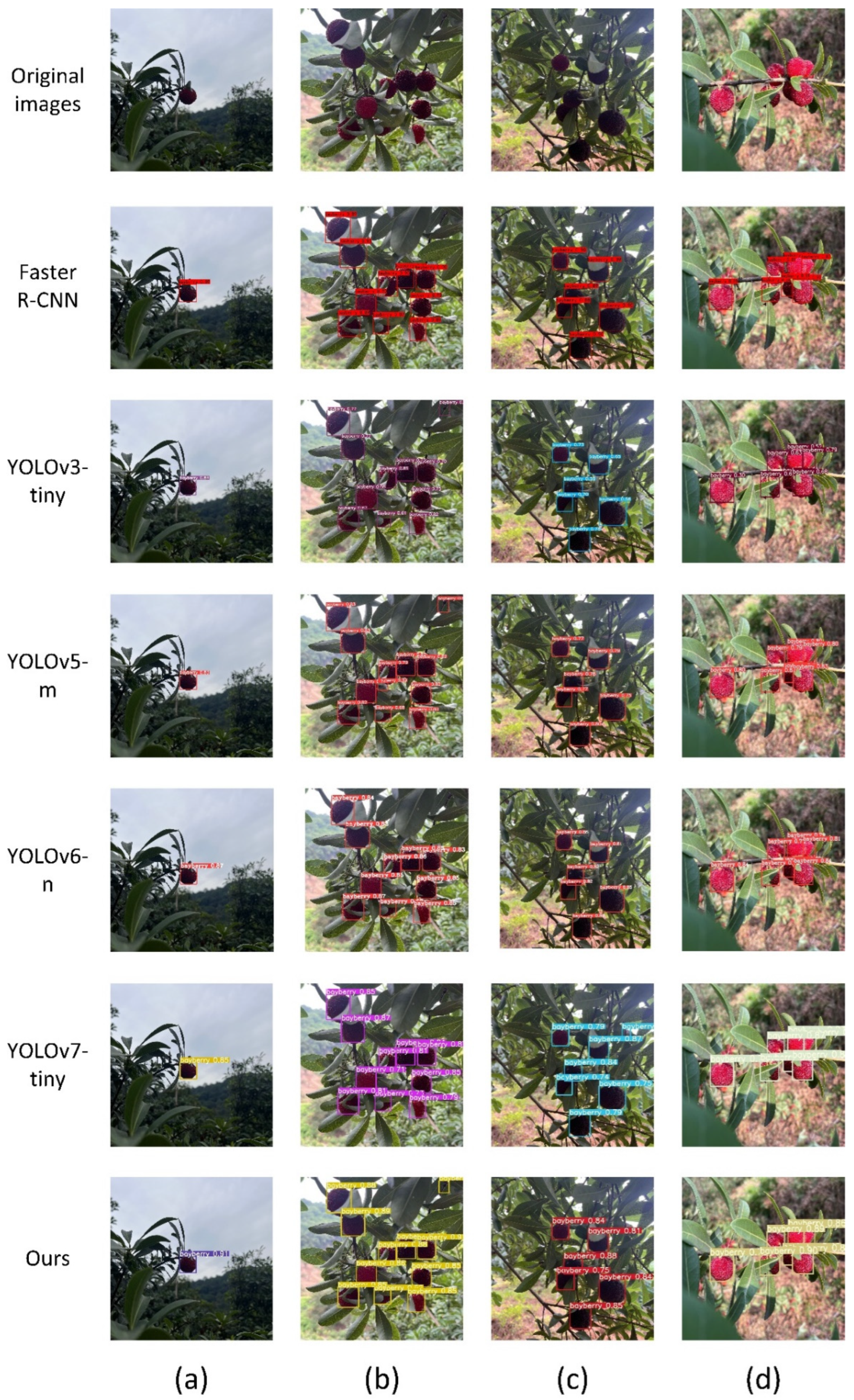 Agriculture 14 01725 g013