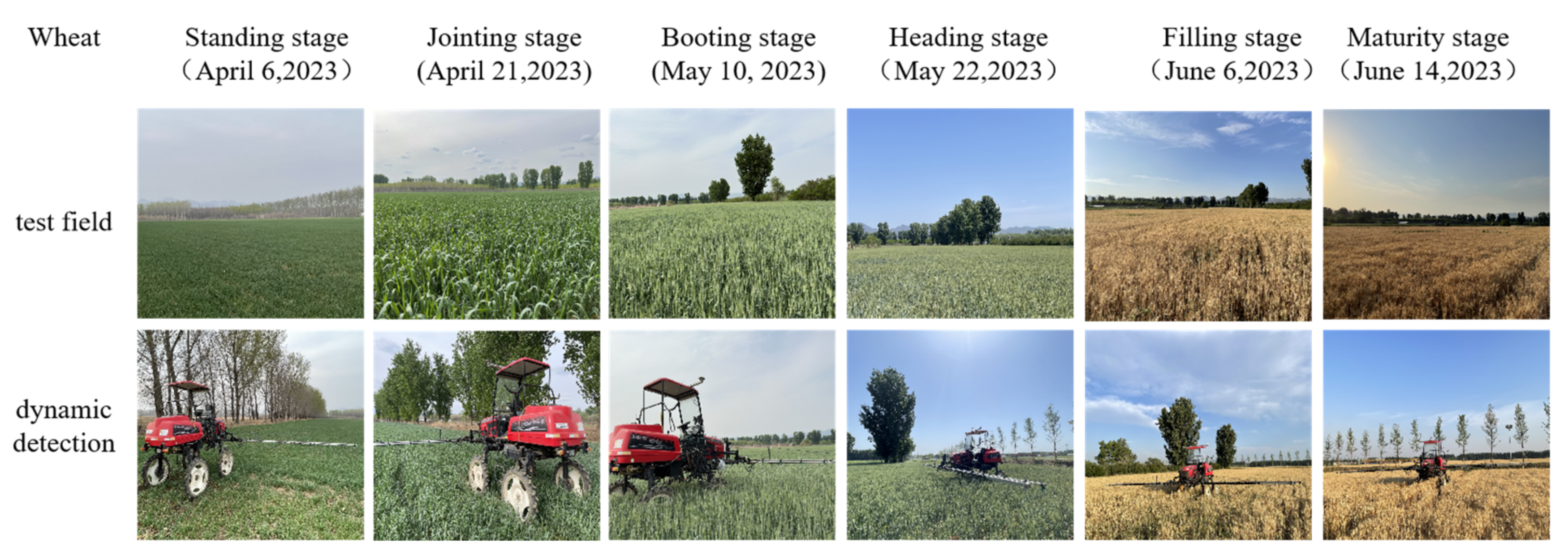 Agriculture 14 01733 g004