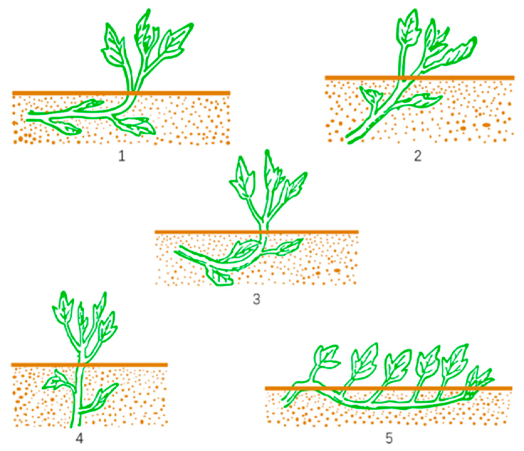 Agriculture 14 01738 g002
