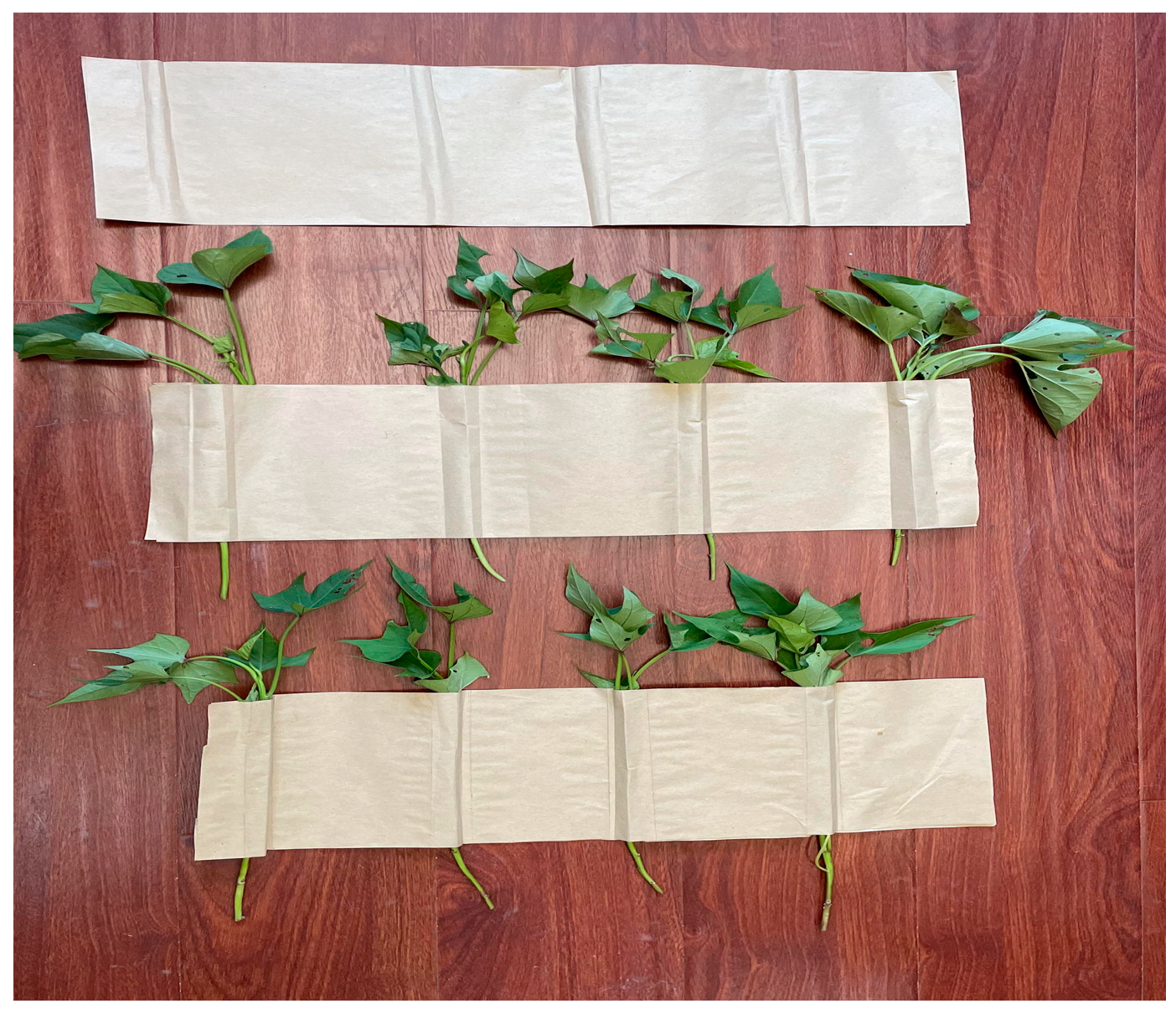 Agriculture 14 01738 g006