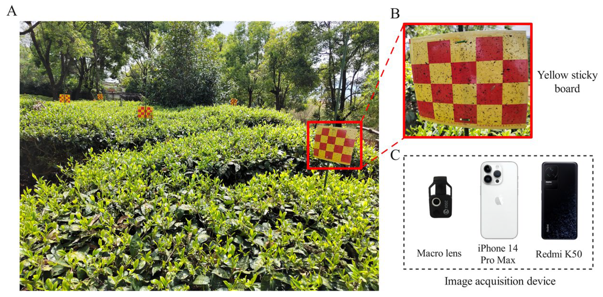 Agriculture 14 01739 g001