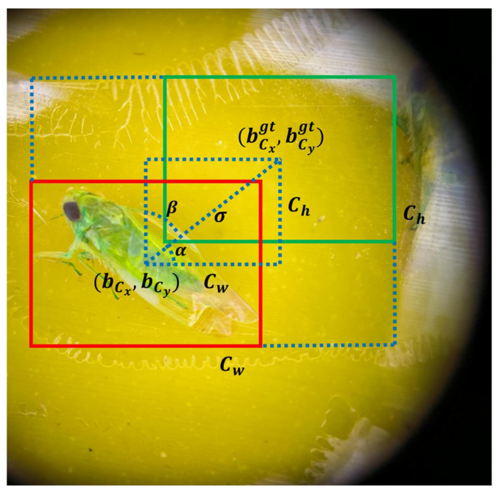 Agriculture 14 01739 g005