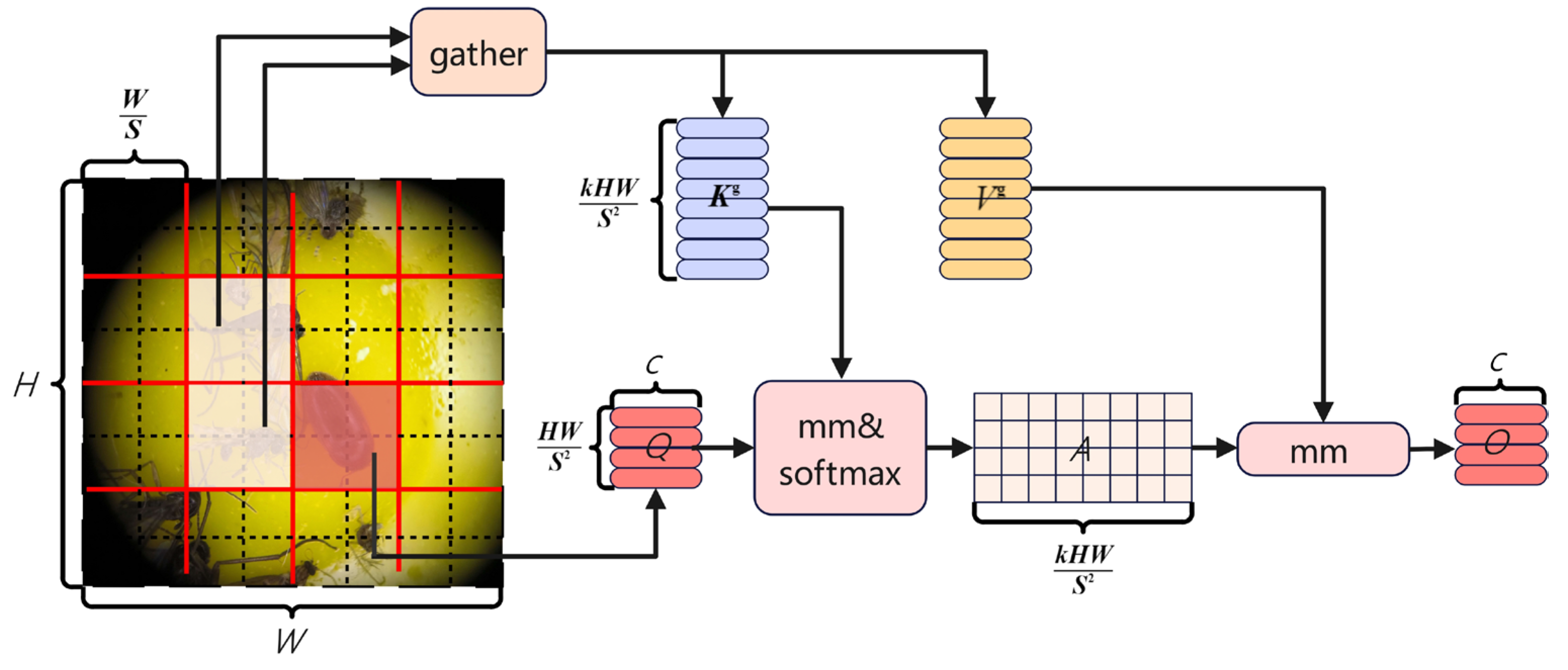 Agriculture 14 01739 g009