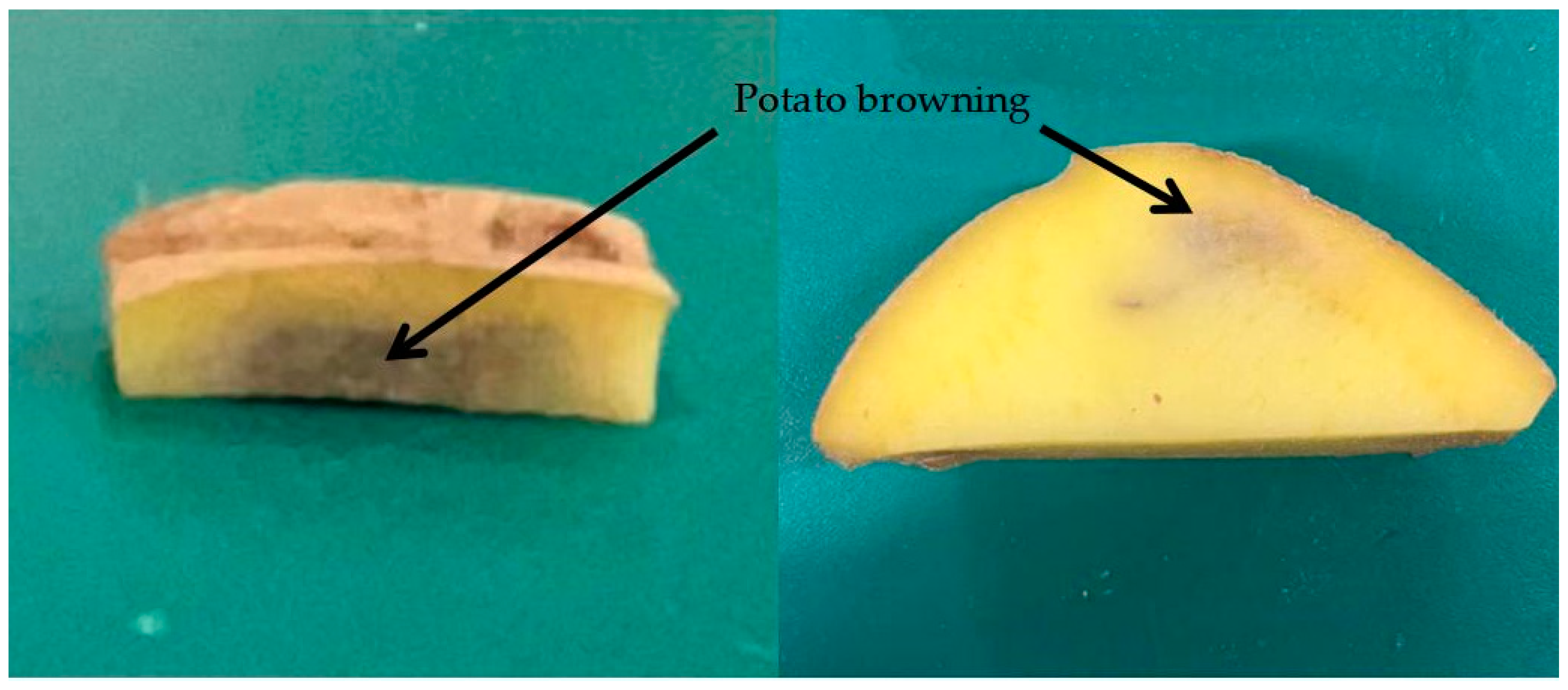 Agriculture 14 01740 g005