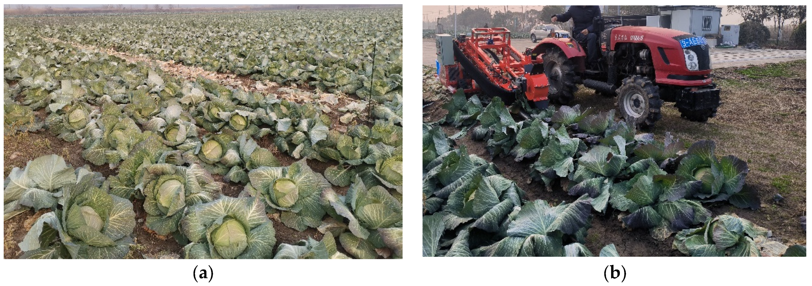 Agriculture 14 01741 g017