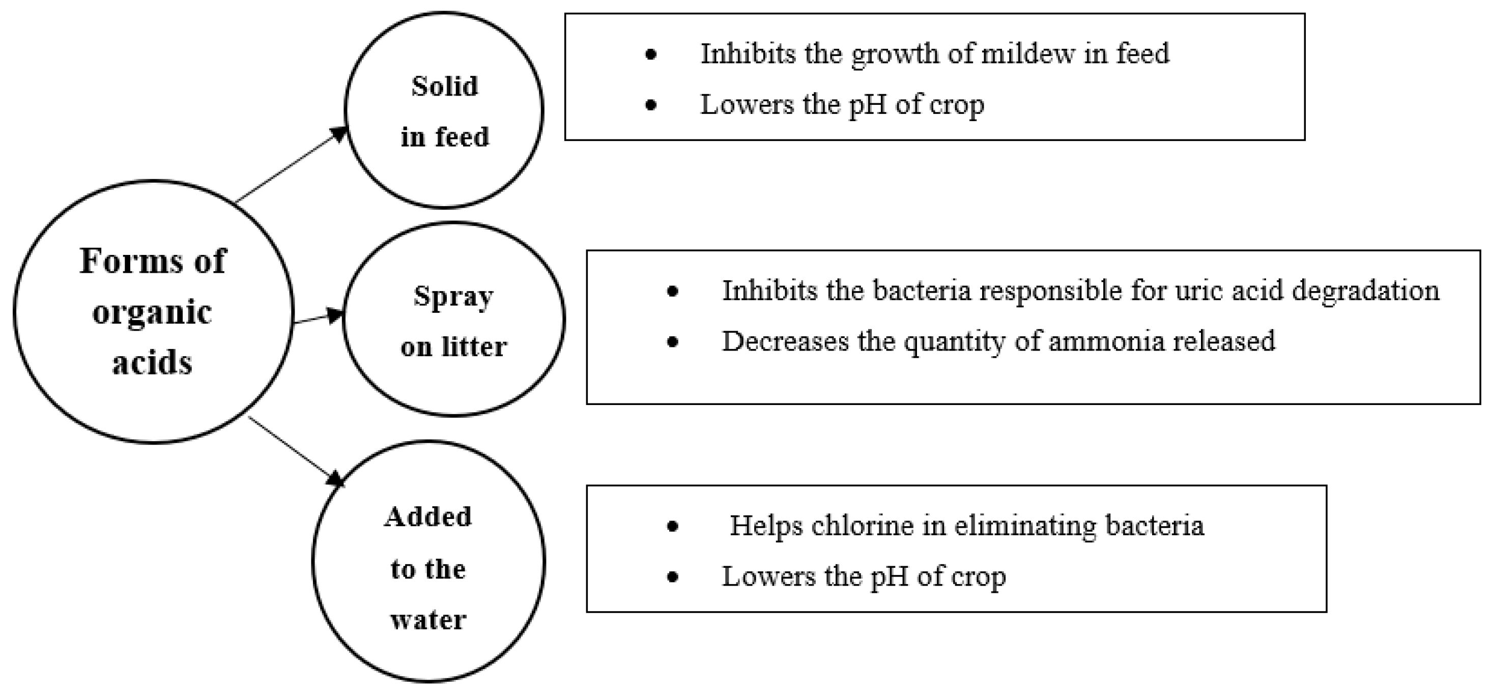 Agriculture 14 01756 g003 Agriculture 14 01756 g003