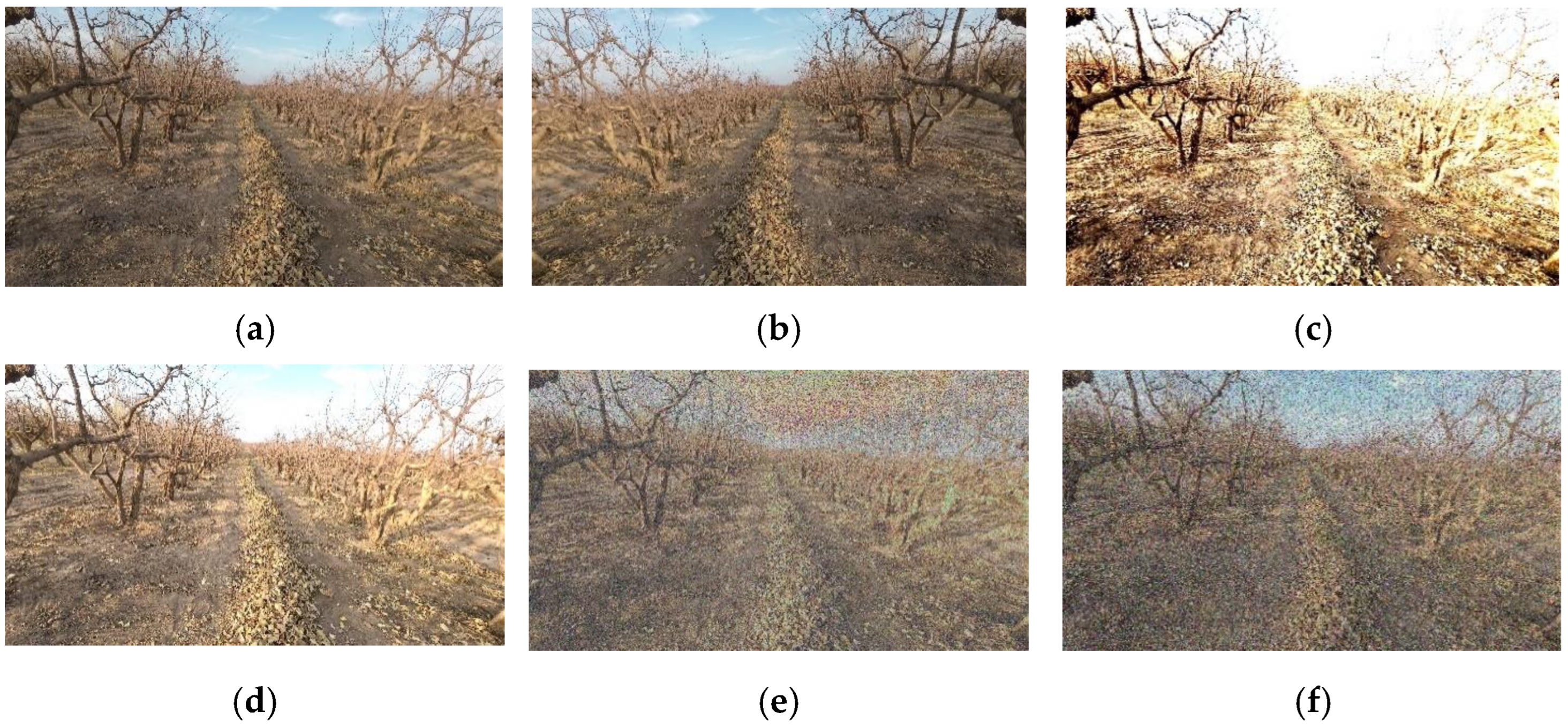 Agriculture 14 01760 g002