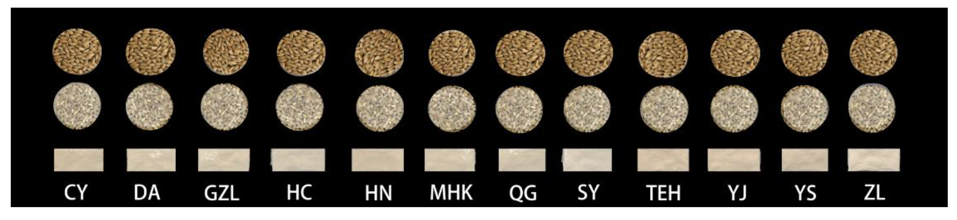 Agriculture 14 01763 g003