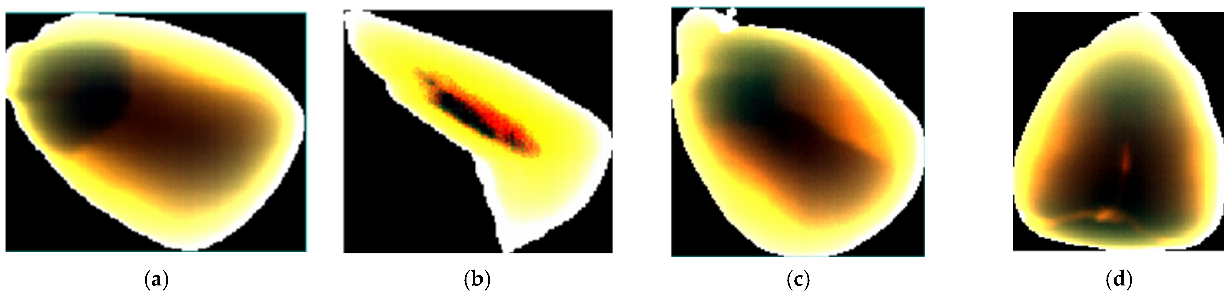 Agriculture 14 01780 g001