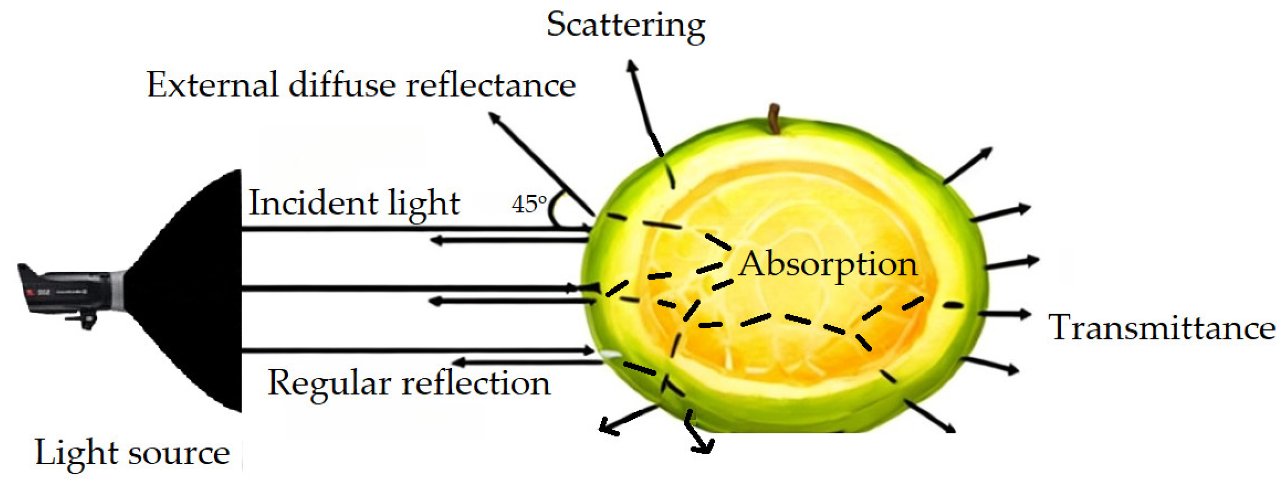 Agriculture 14 01782 g001