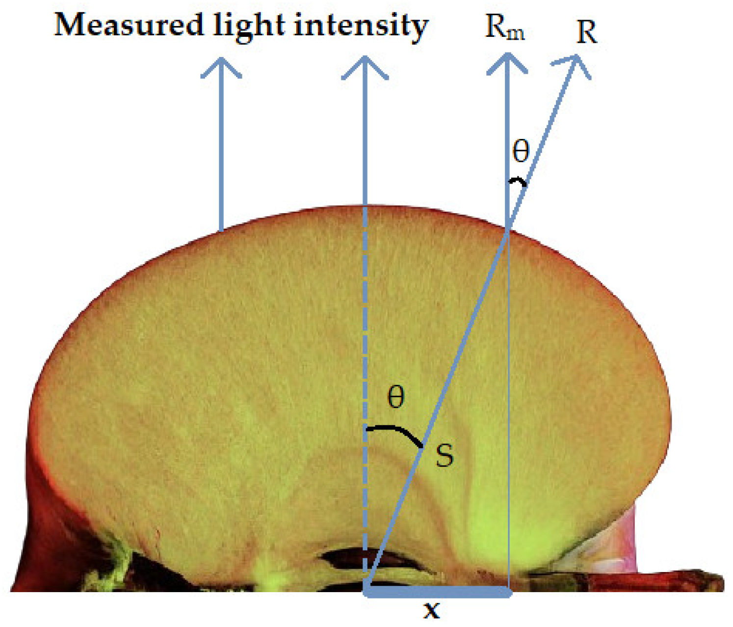 Agriculture 14 01782 g002