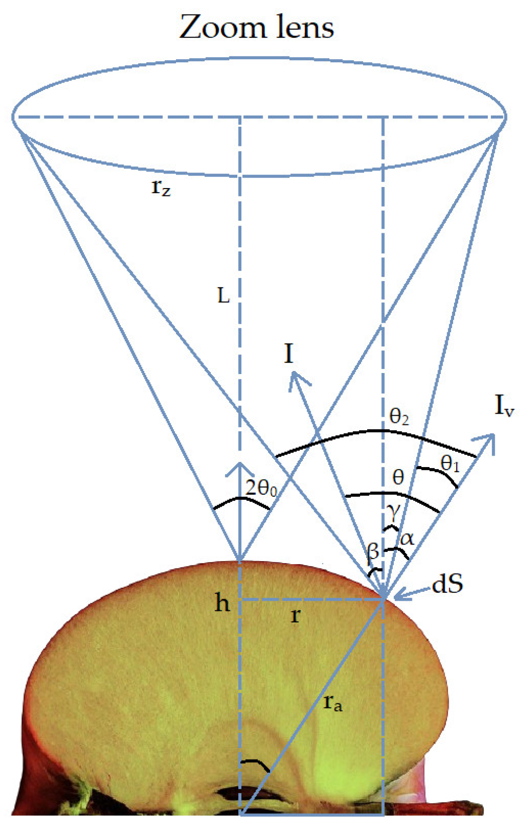 Agriculture 14 01782 g003