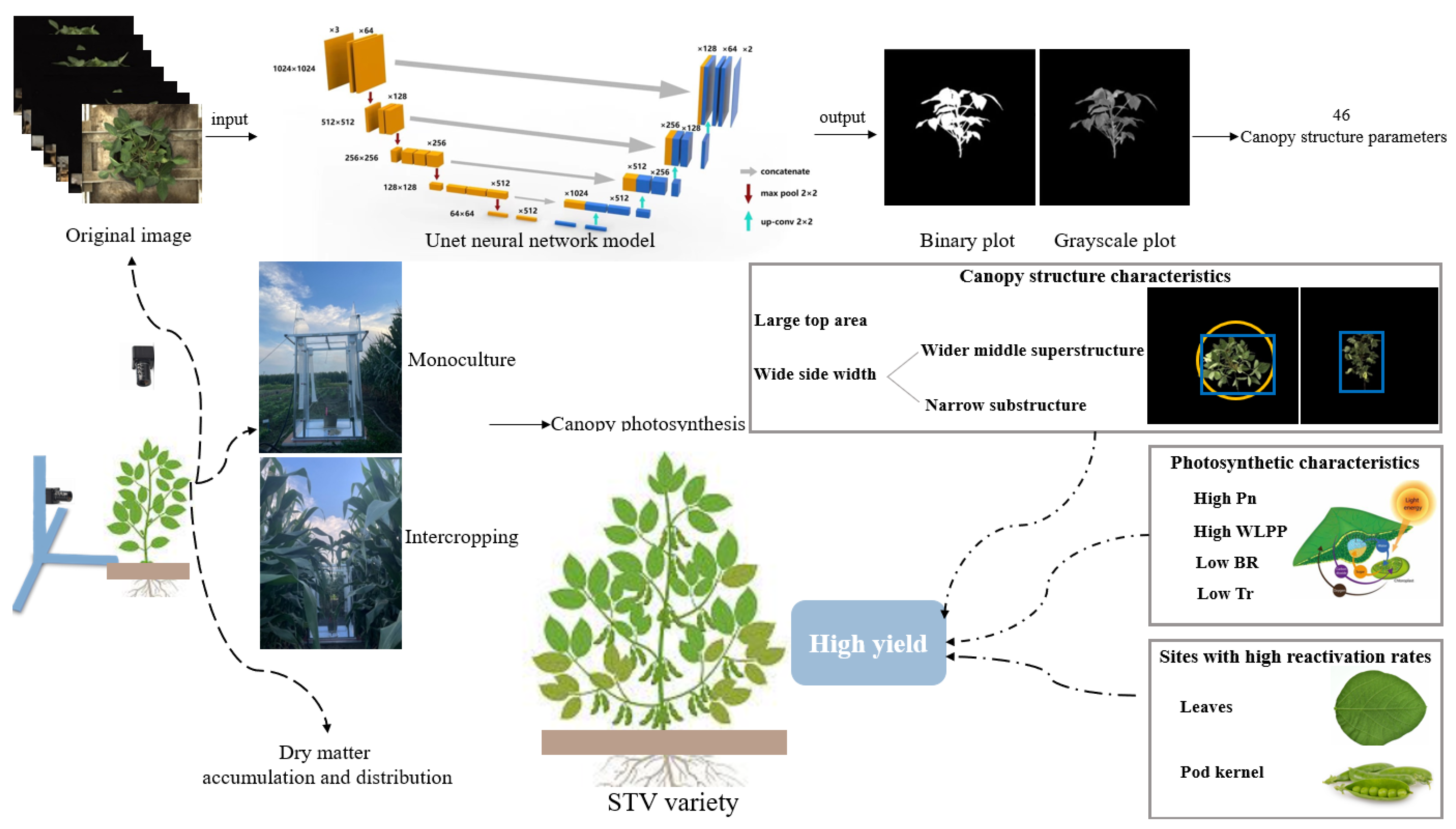 Agriculture 14 01783 g010