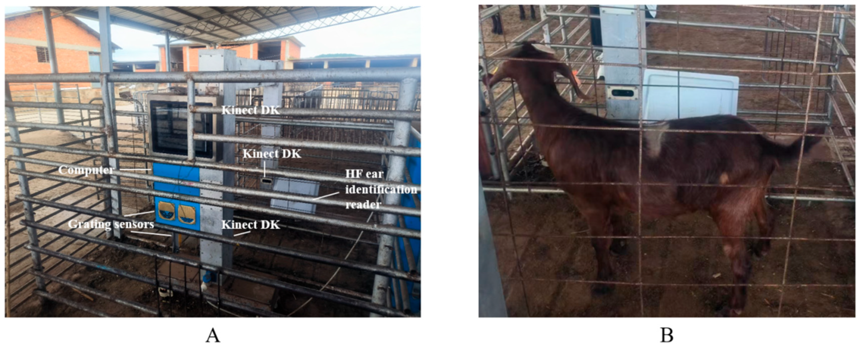 Agriculture 14 01785 g002