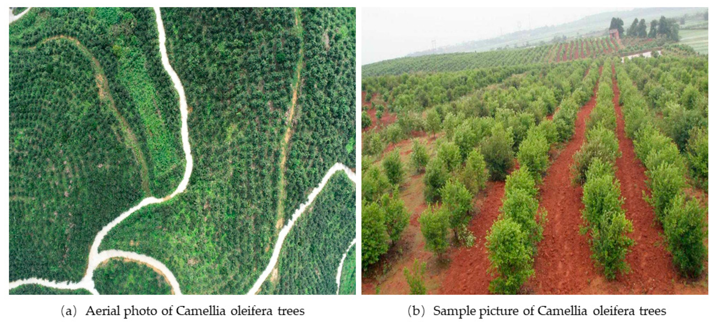 Agriculture 14 01789 g003