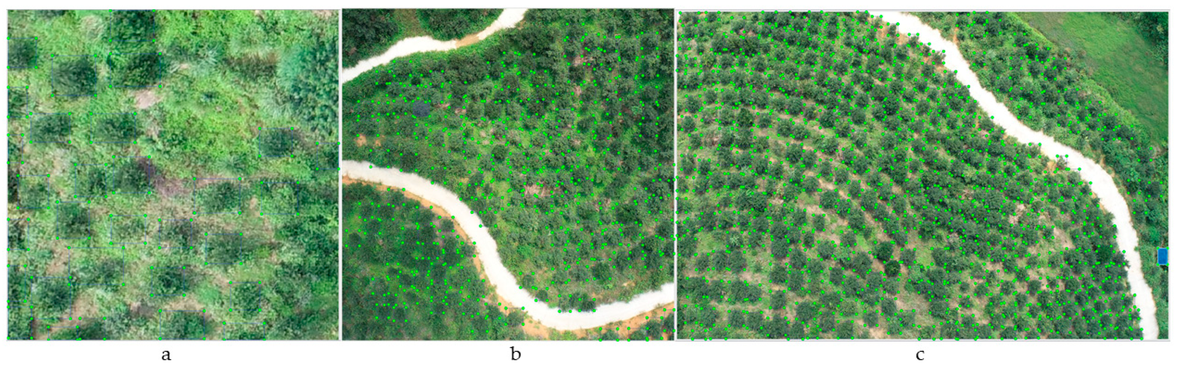 Agriculture 14 01789 g004