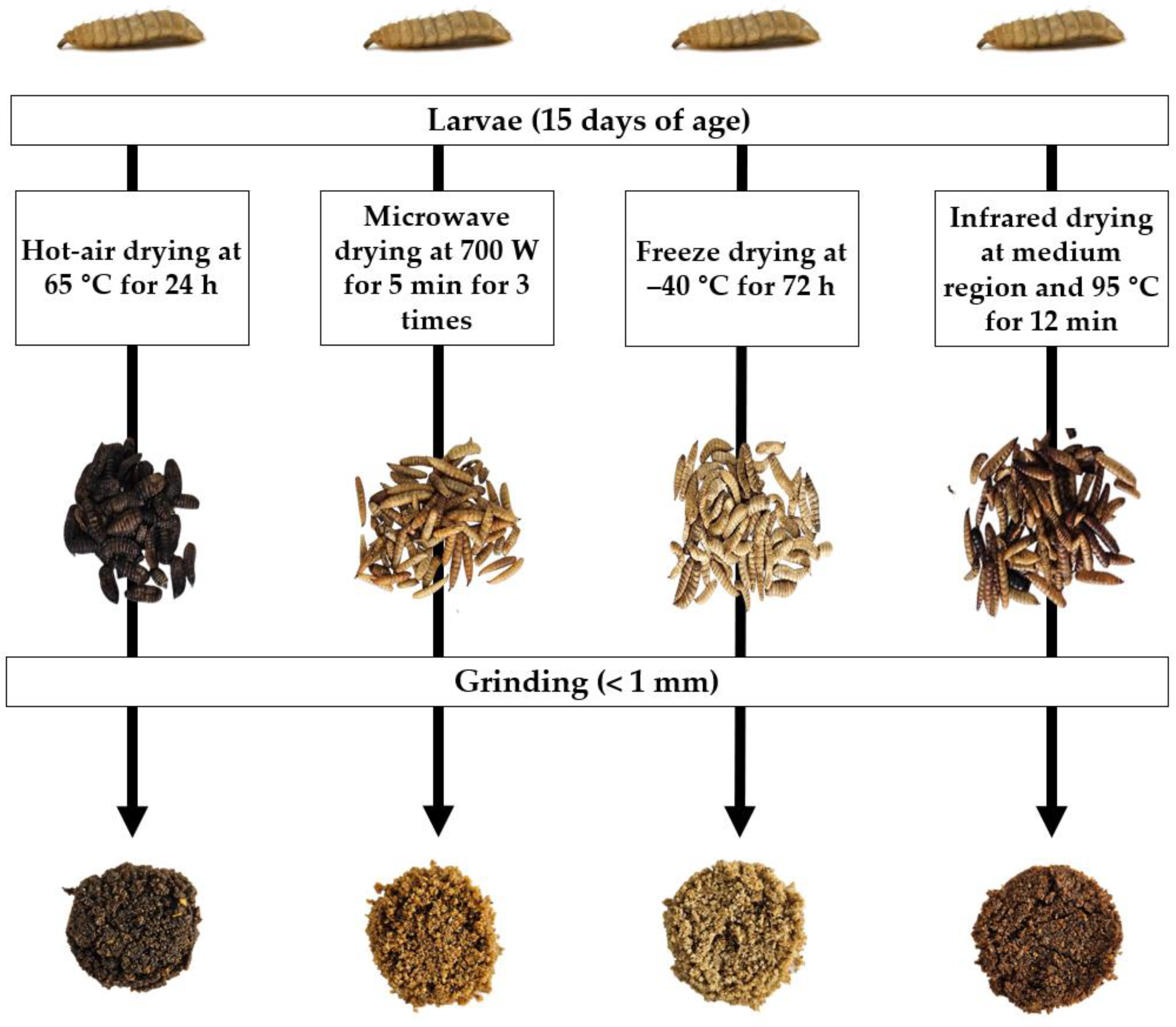 Agriculture 14 01792 g001