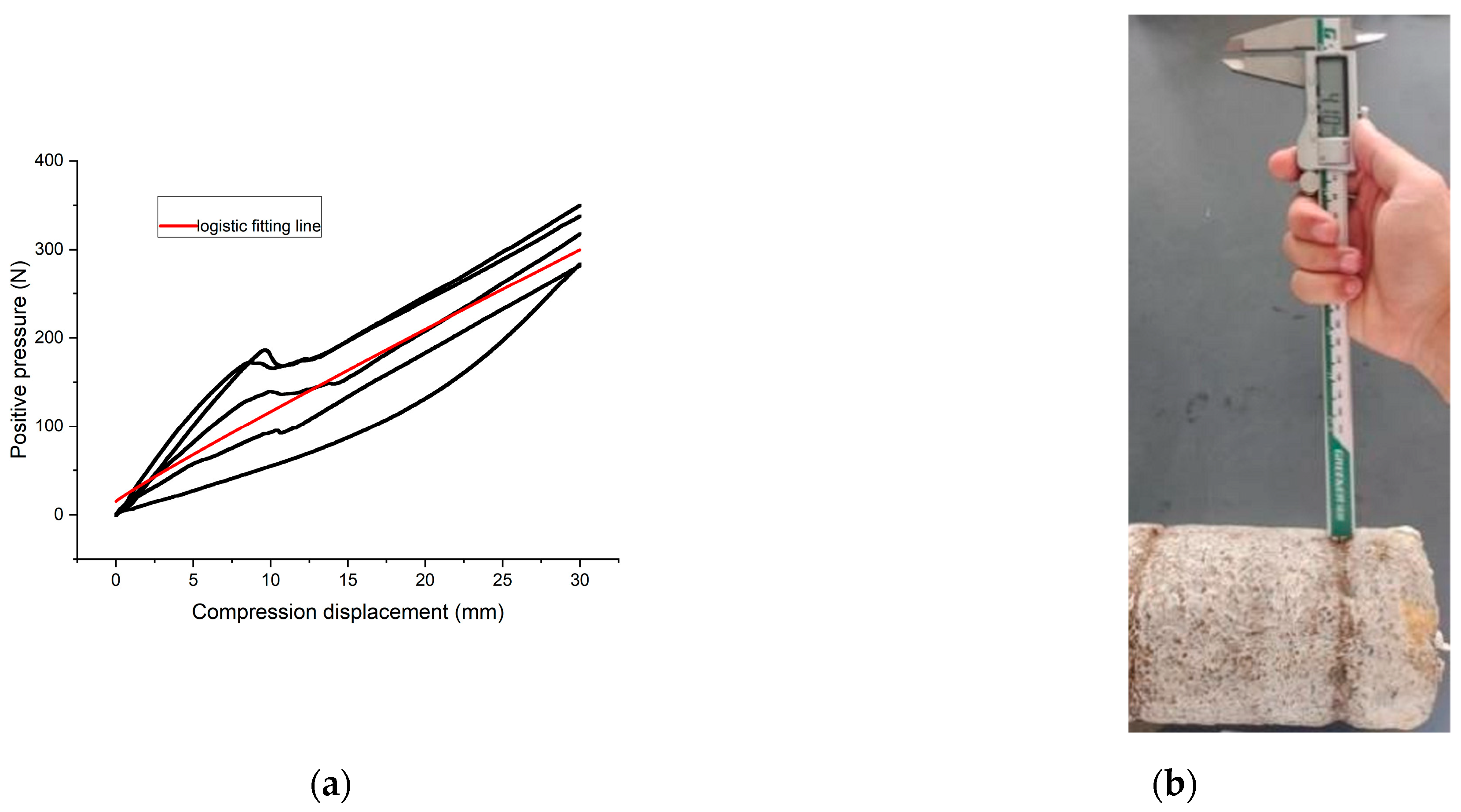 Agriculture 14 01795 g007