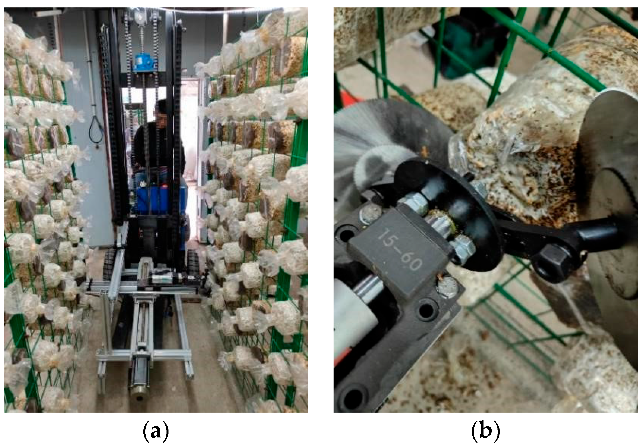 Agriculture 14 01795 g009