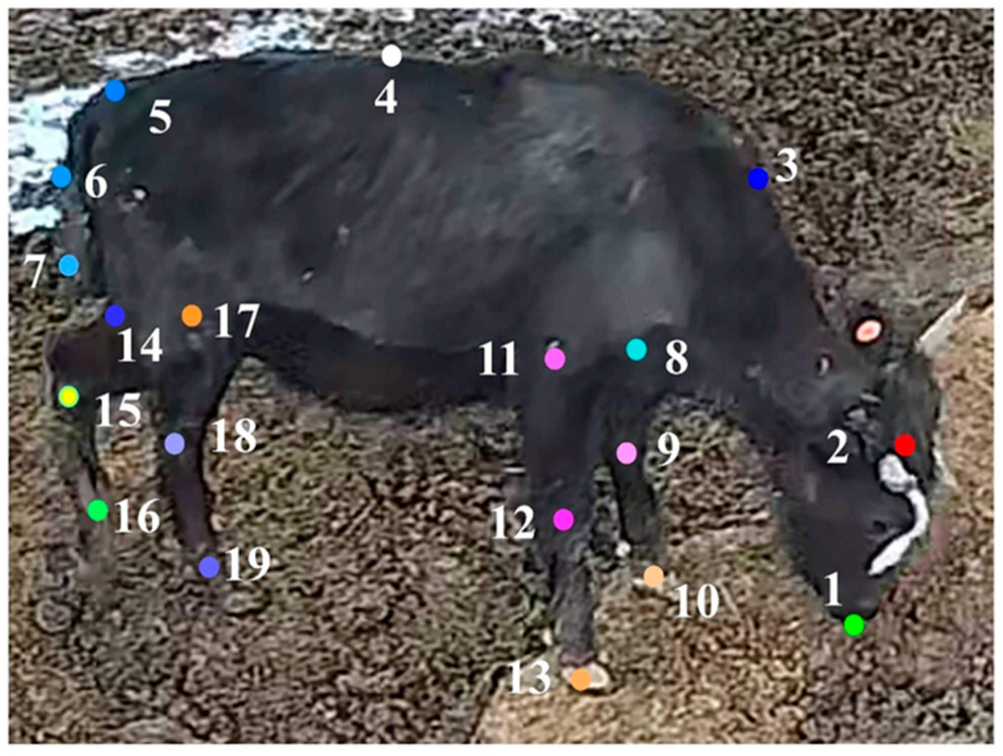 Agriculture 14 01796 g003