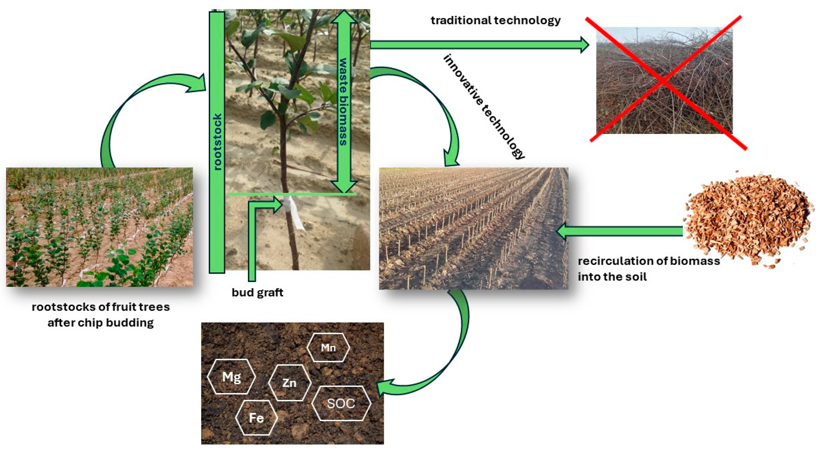 Agriculture 14 01806 g001
