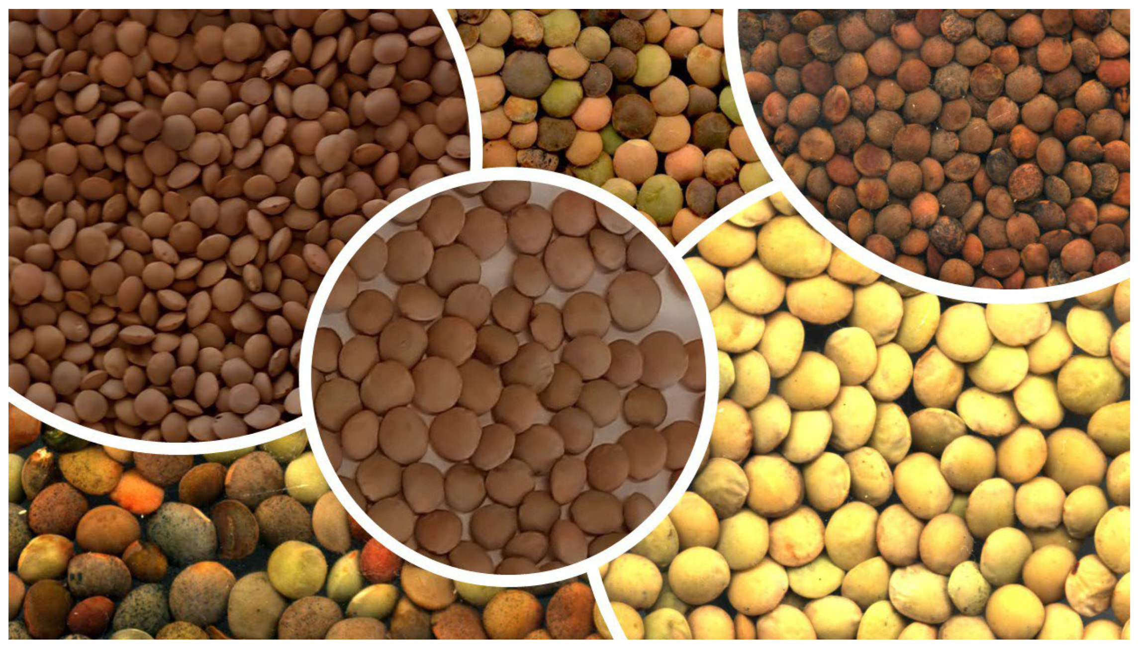 Agriculture 14 01817 g003