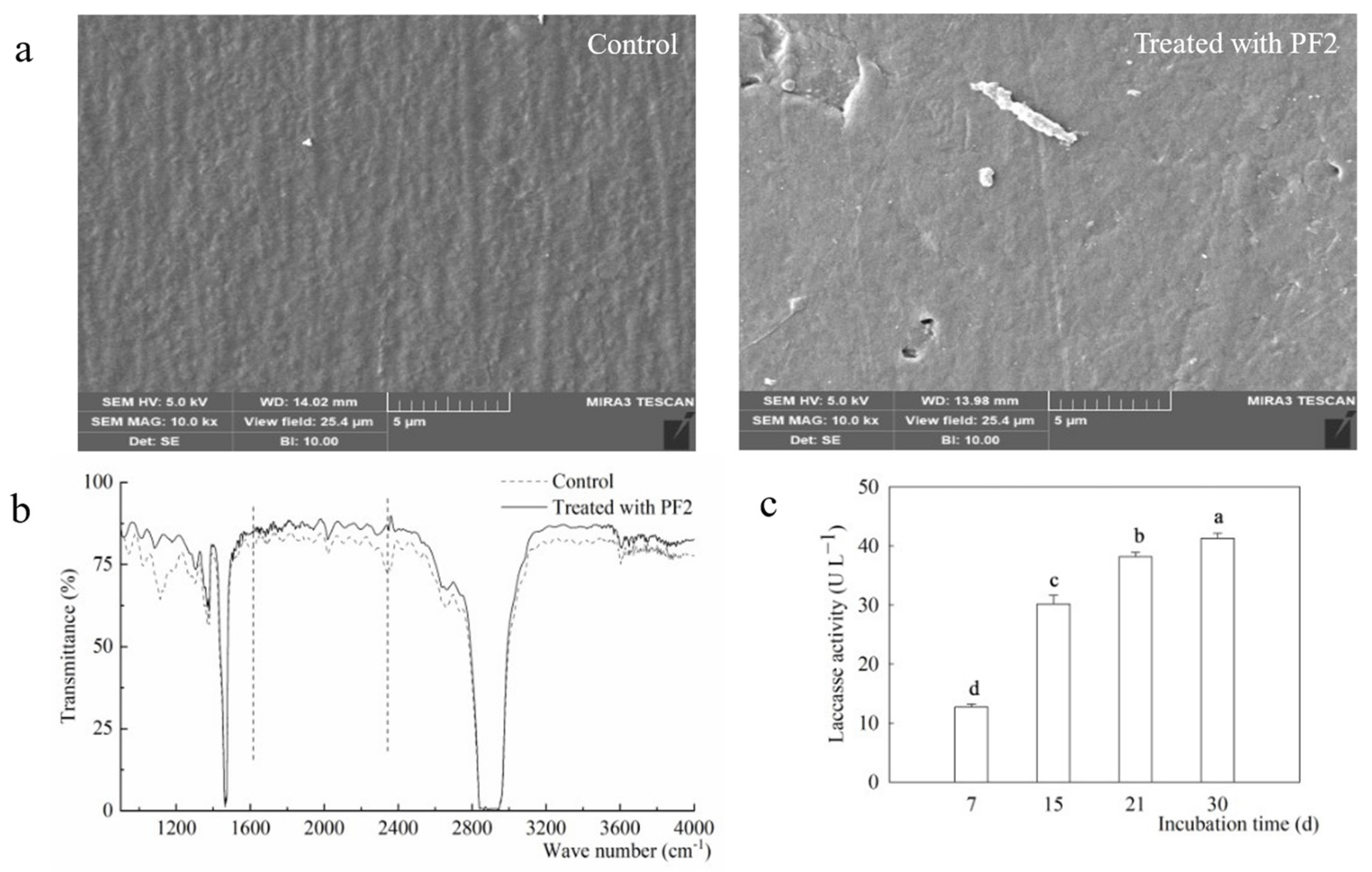 Agriculture 14 01821 g002