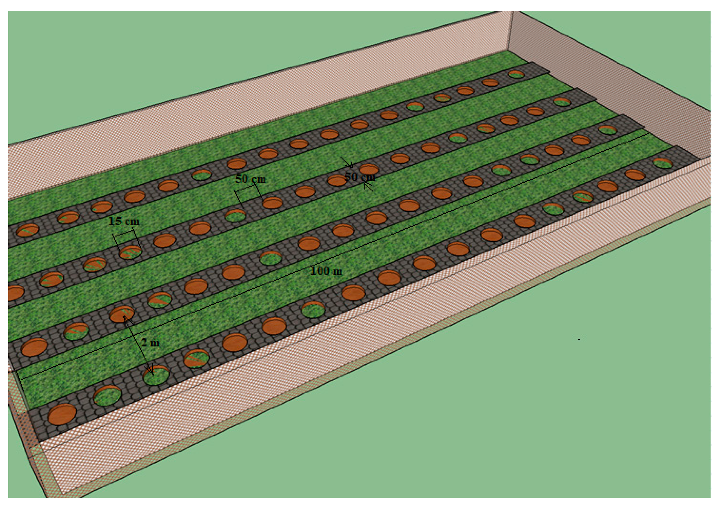 Agriculture 14 01822 g002