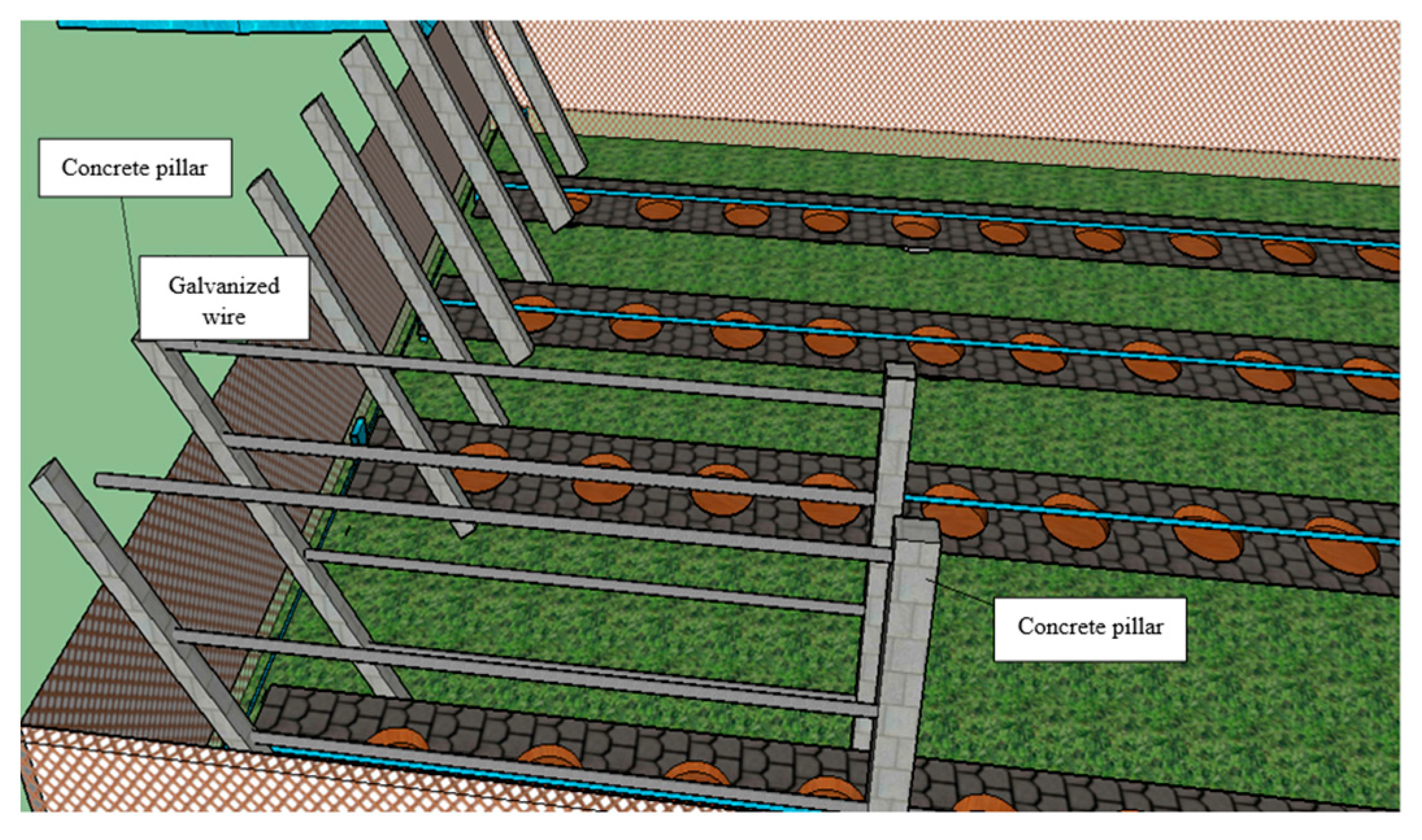 Agriculture 14 01822 g004