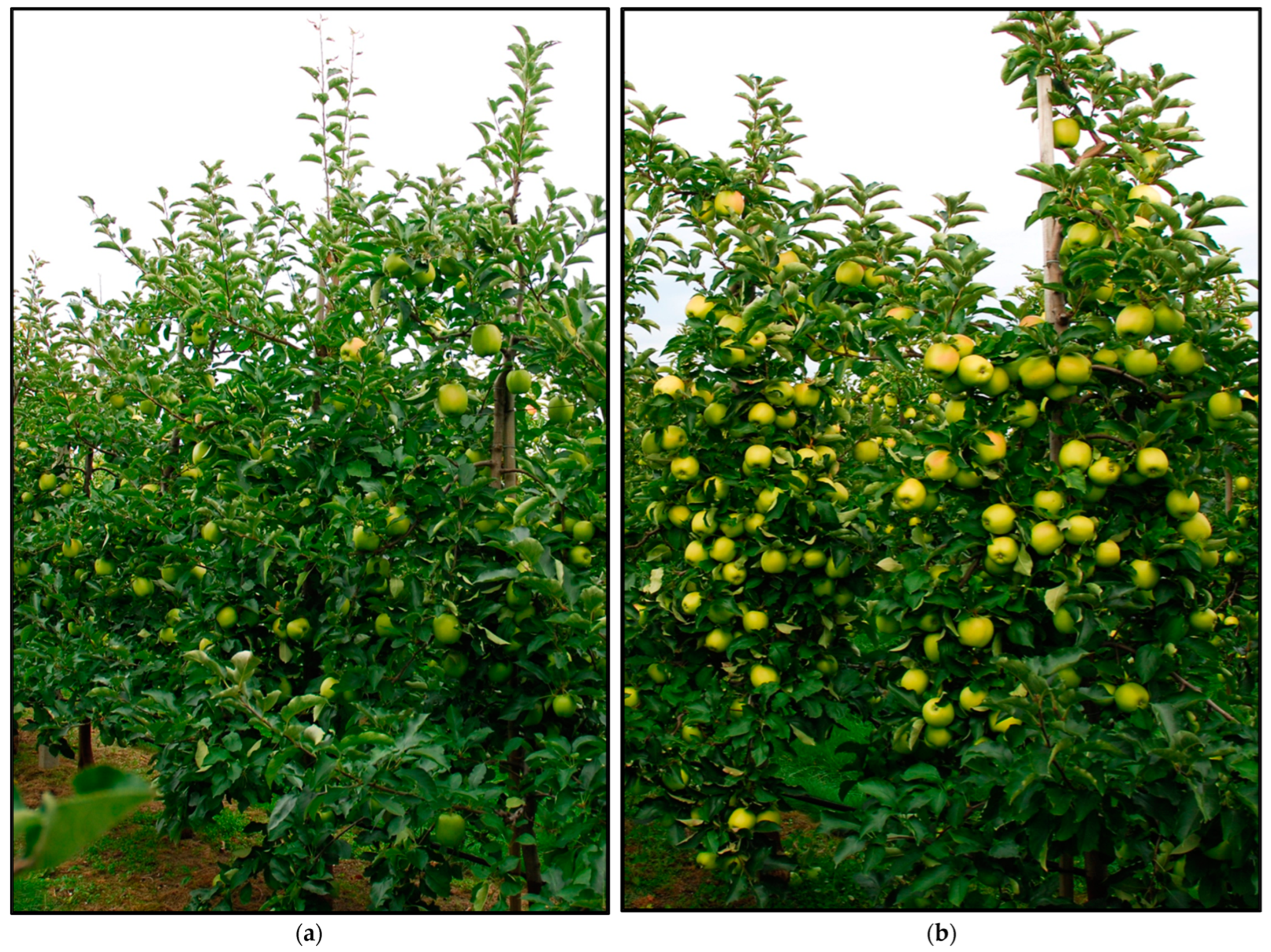 Agriculture 14 01838 g001