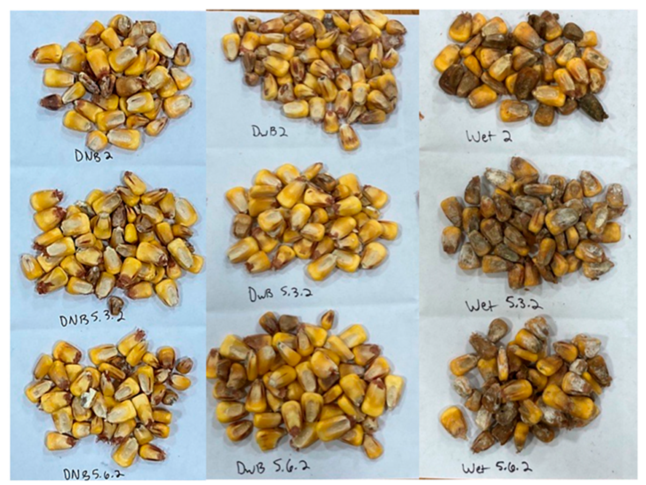 Agriculture 14 01839 g003